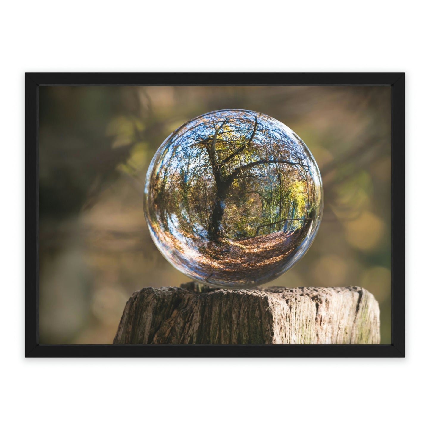 Forest Globe - Framed Poster, Horizontal