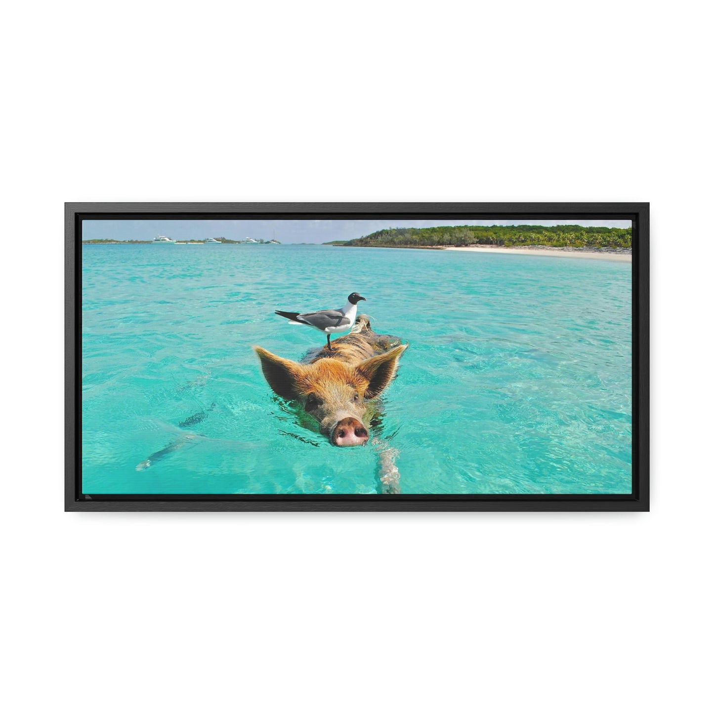 Ocean hog - Gallery Canvas Wraps, Horizontal Frame