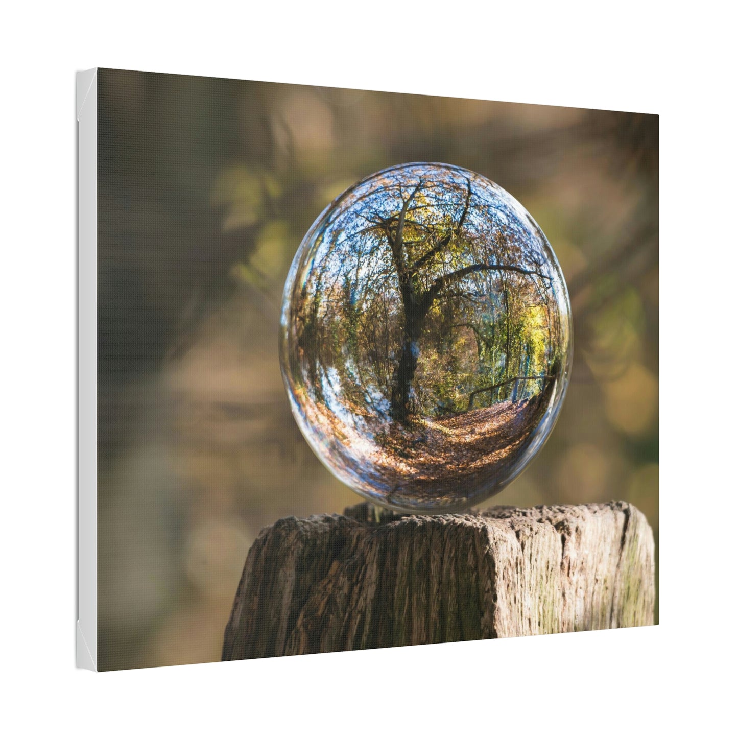 Forest, Globe, Trees, Nature, Forest Globe - Polyester Canvas