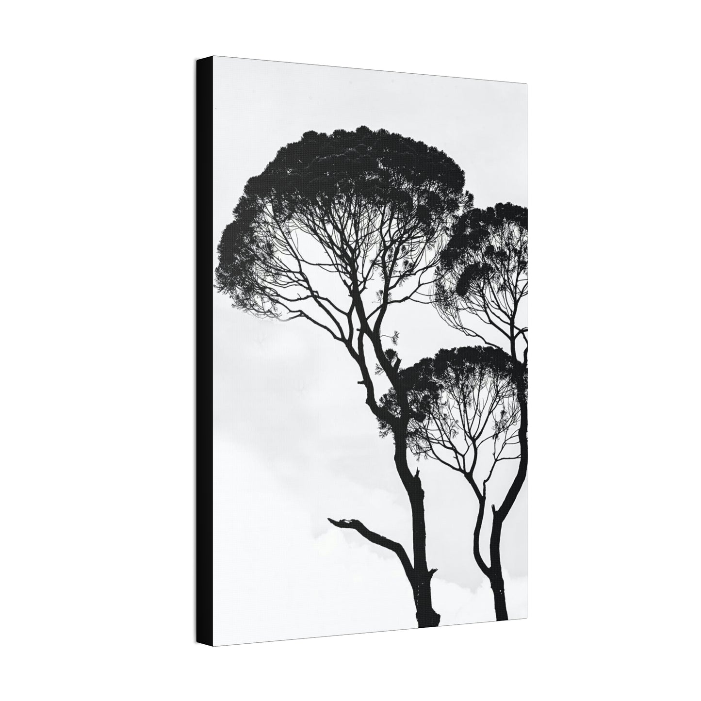 Black and White Trees, Trees, Savannah, Safari - Polyester Canvas