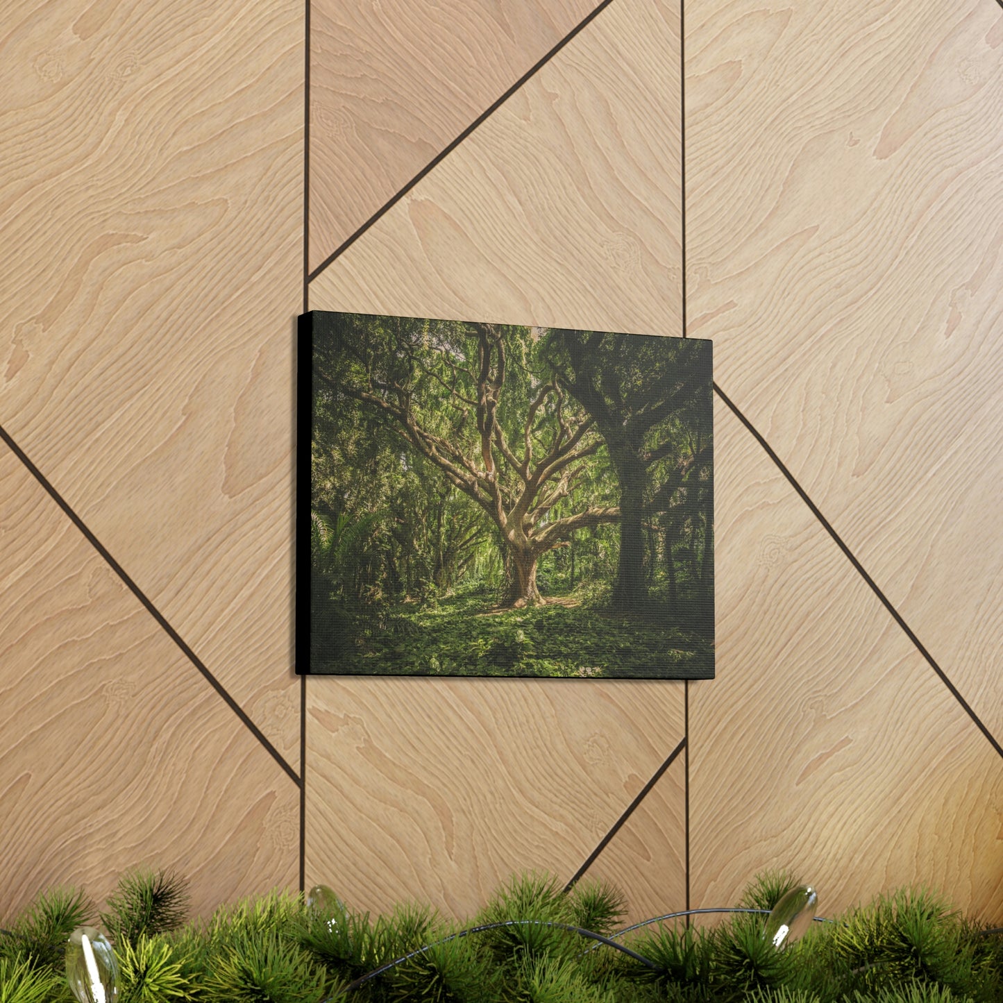 Forest - Tree Canvas Gallery Wraps