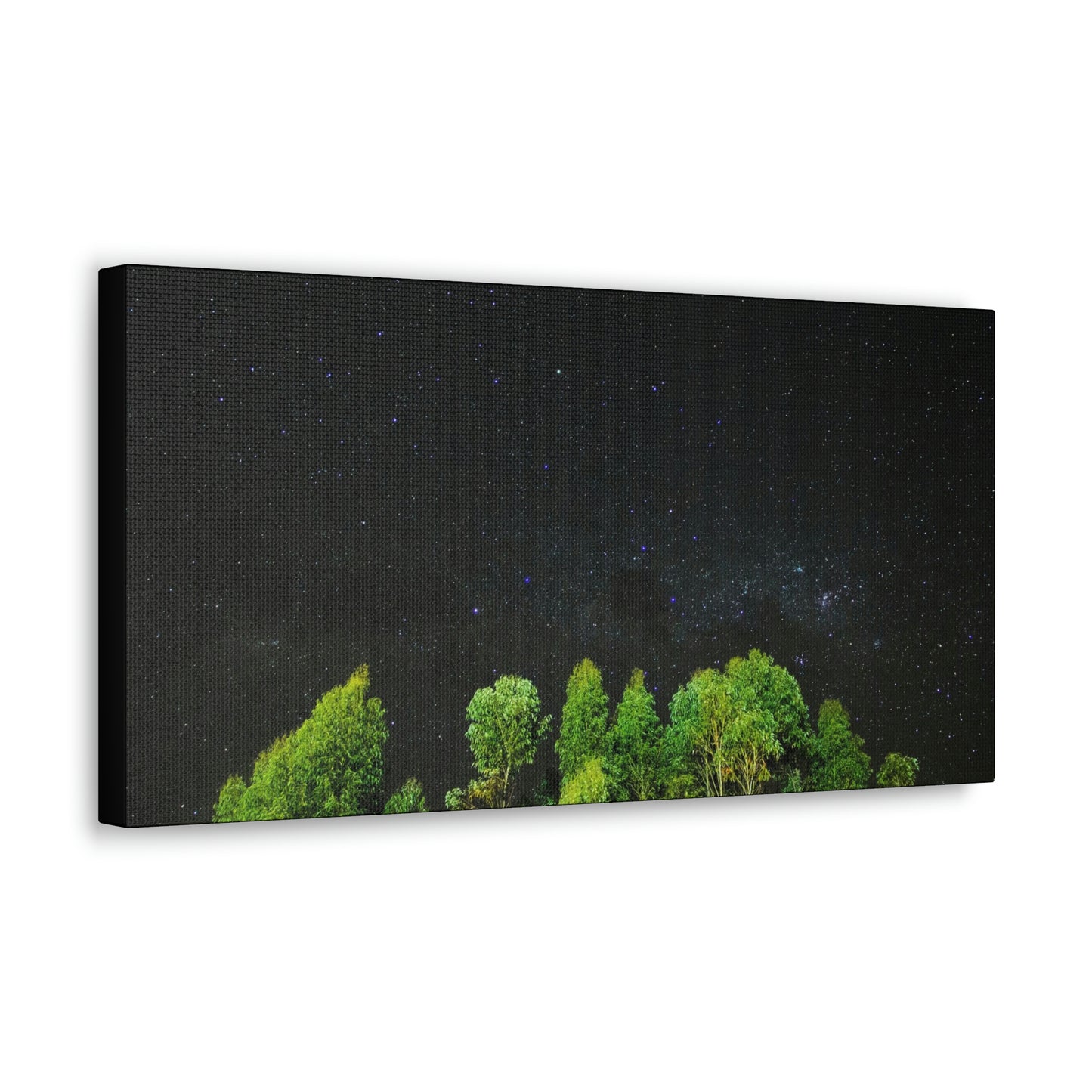 Starry Forest - Star, Forest, Nature - Canvas Gallery Wraps