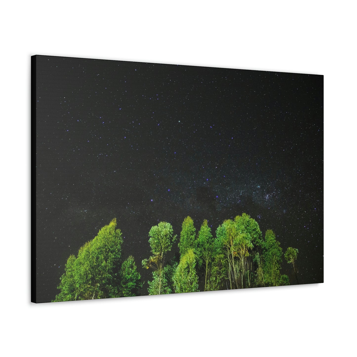 Starry Forest - Star, Forest, Nature - Canvas Gallery Wraps