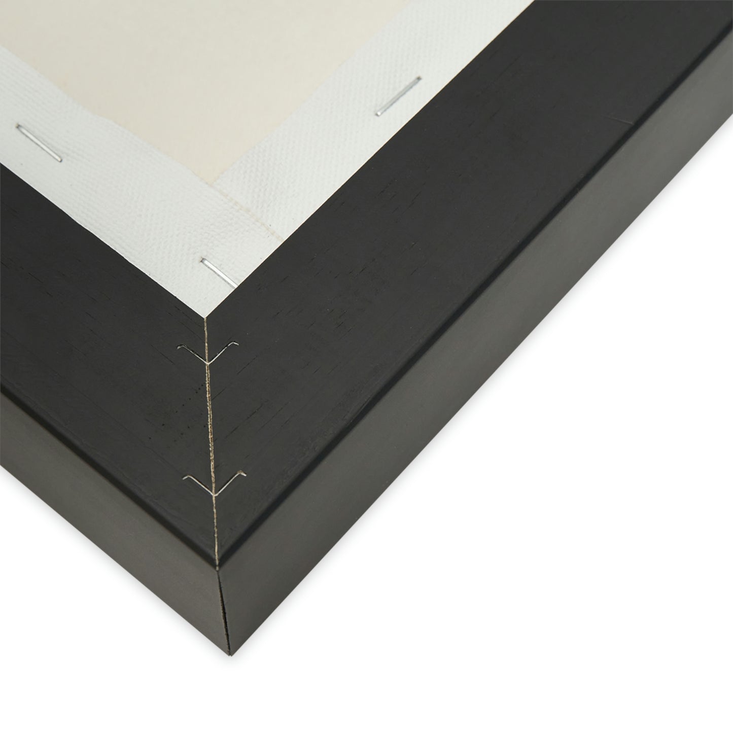 Star Catcher - Matte Canvas, Black Frame