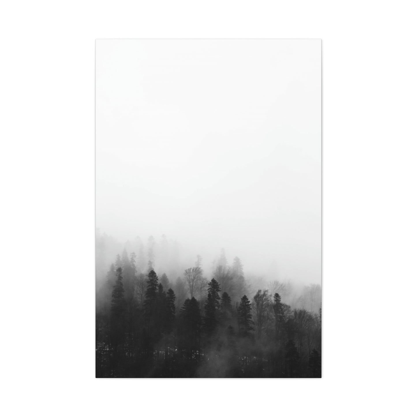 B&W Forest - Canvas Gallery Wraps