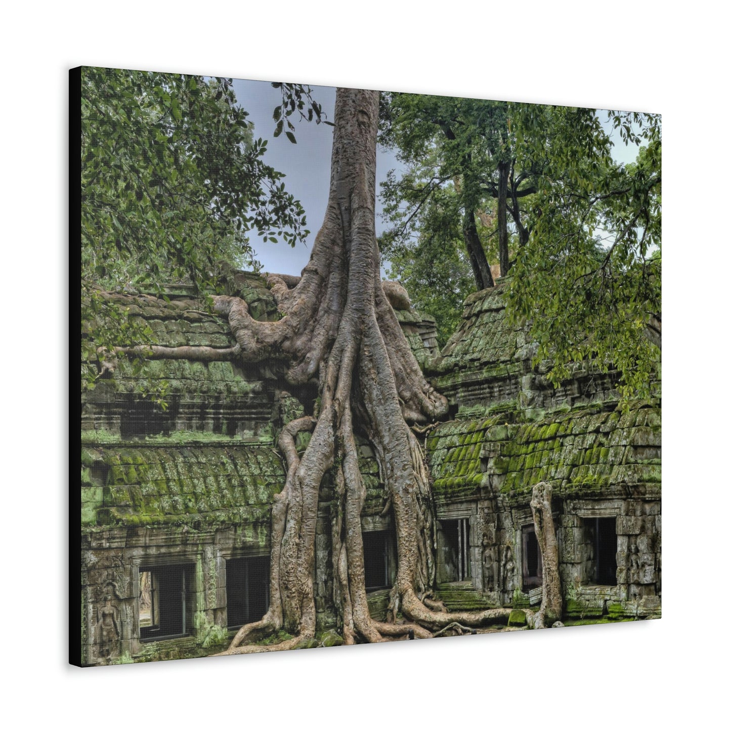 Jungle Temple - nature, trees Canvas Gallery Wraps