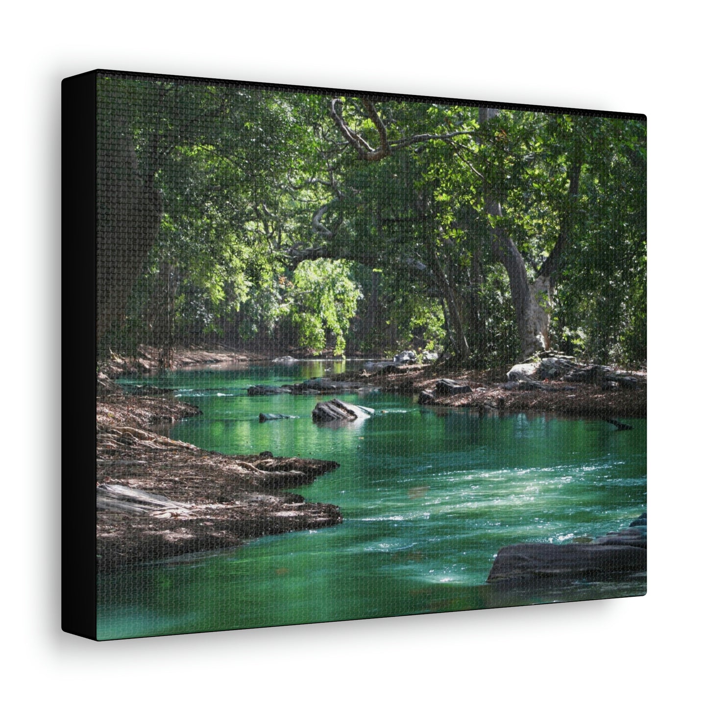 Scenic River - Forest - Canvas Gallery Wraps