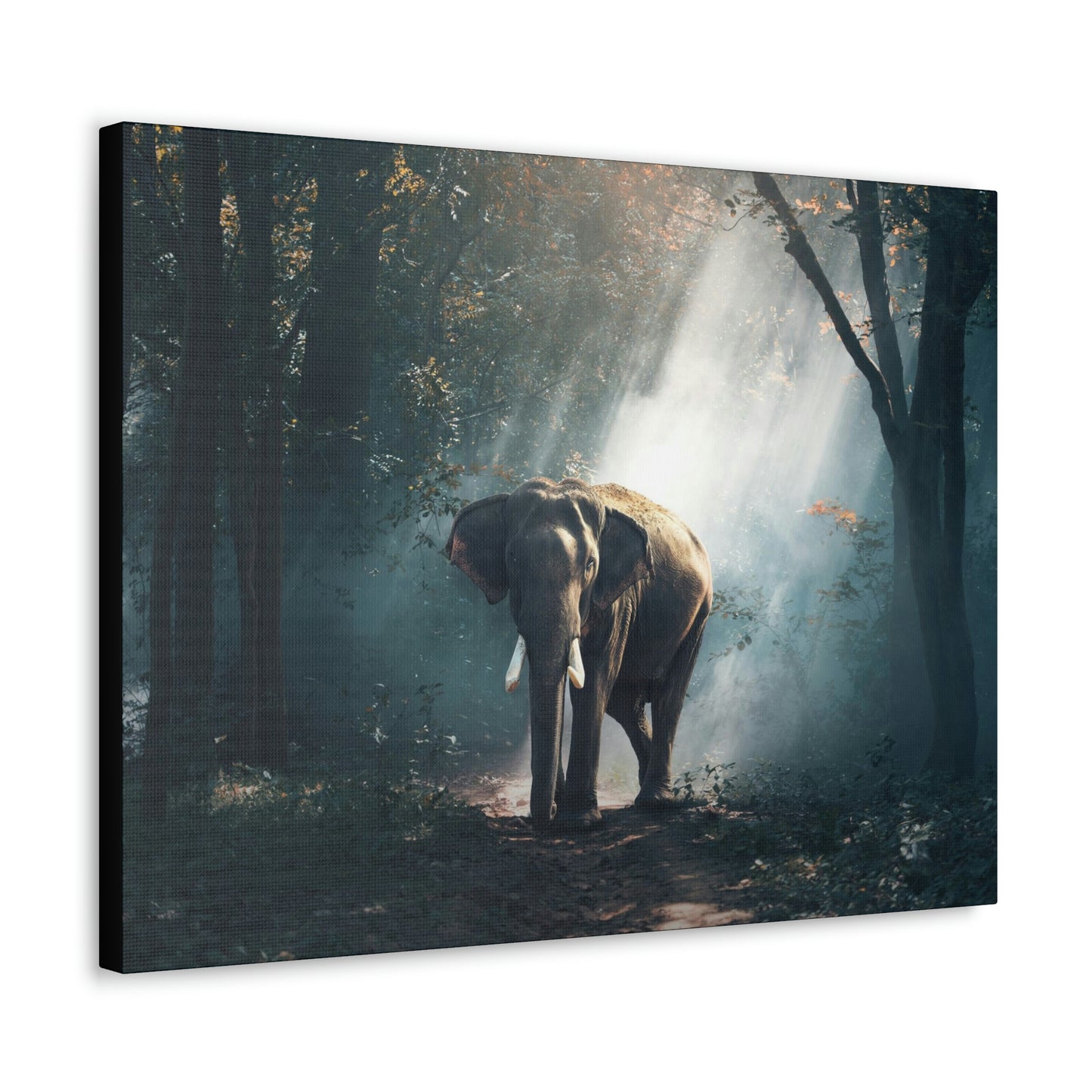 Elephant - Nature, Jungle Canvas Gallery Wraps