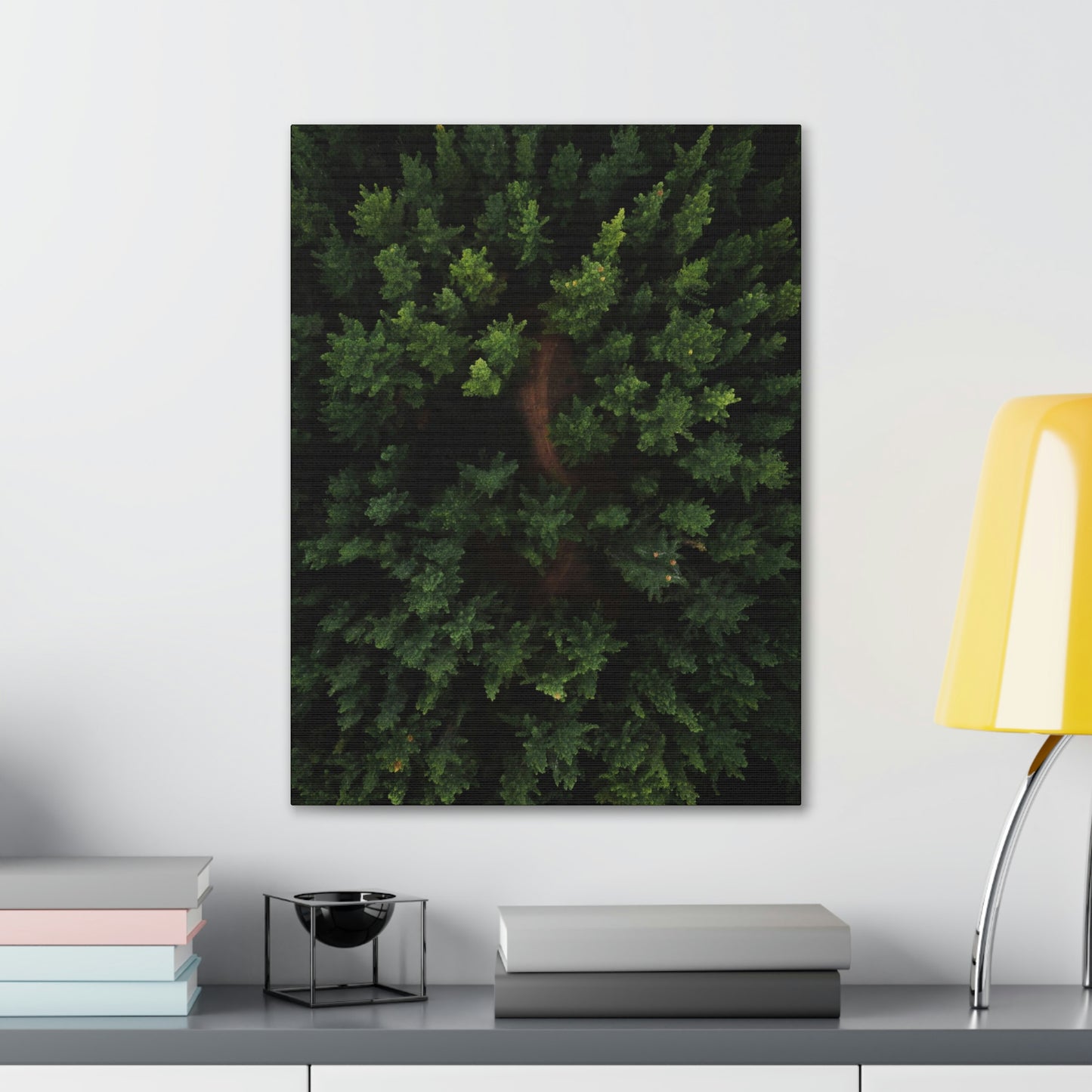 Forest eagle-view - Canvas Gallery Wraps