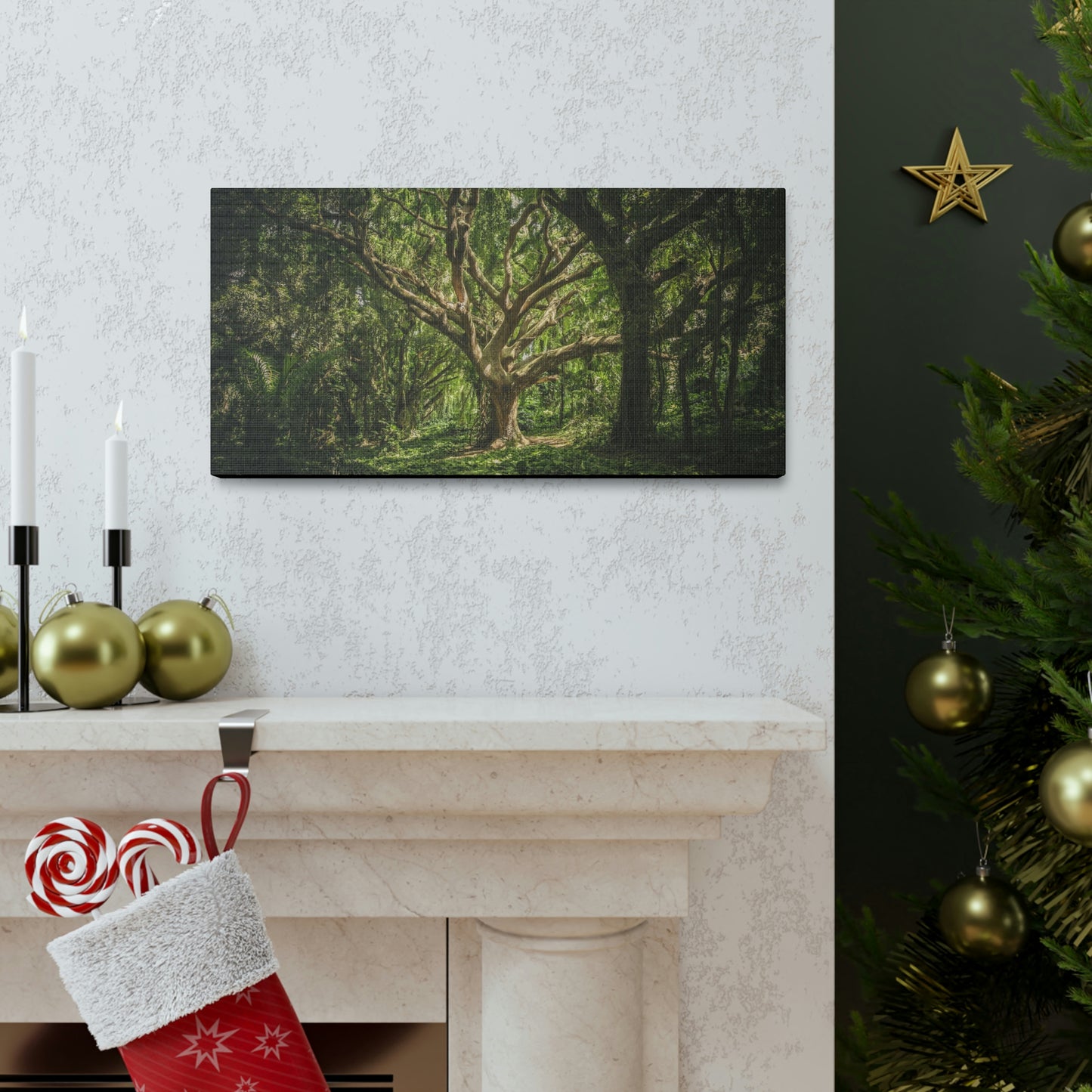 Forest - Tree Canvas Gallery Wraps
