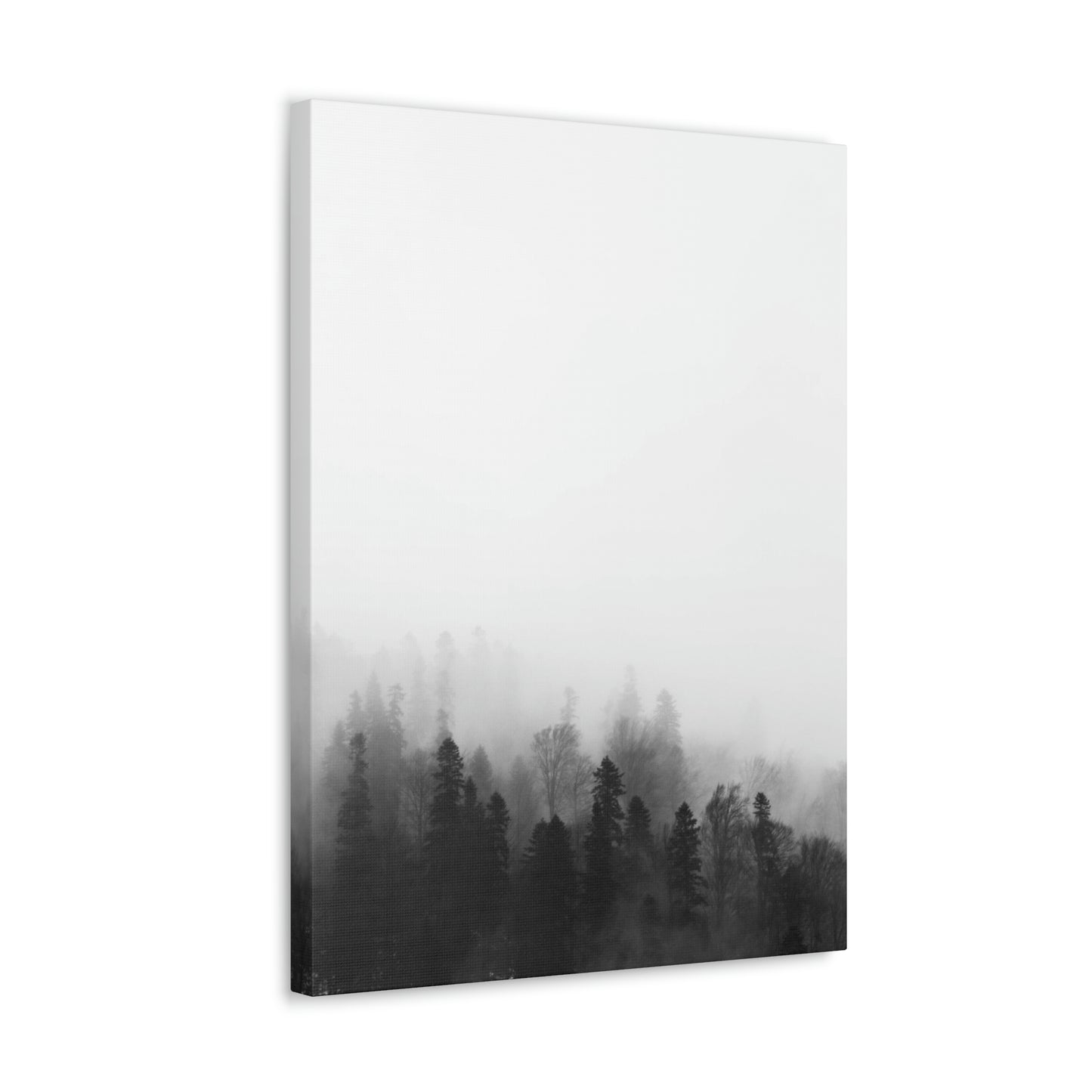 B&W Forest - Canvas Gallery Wraps