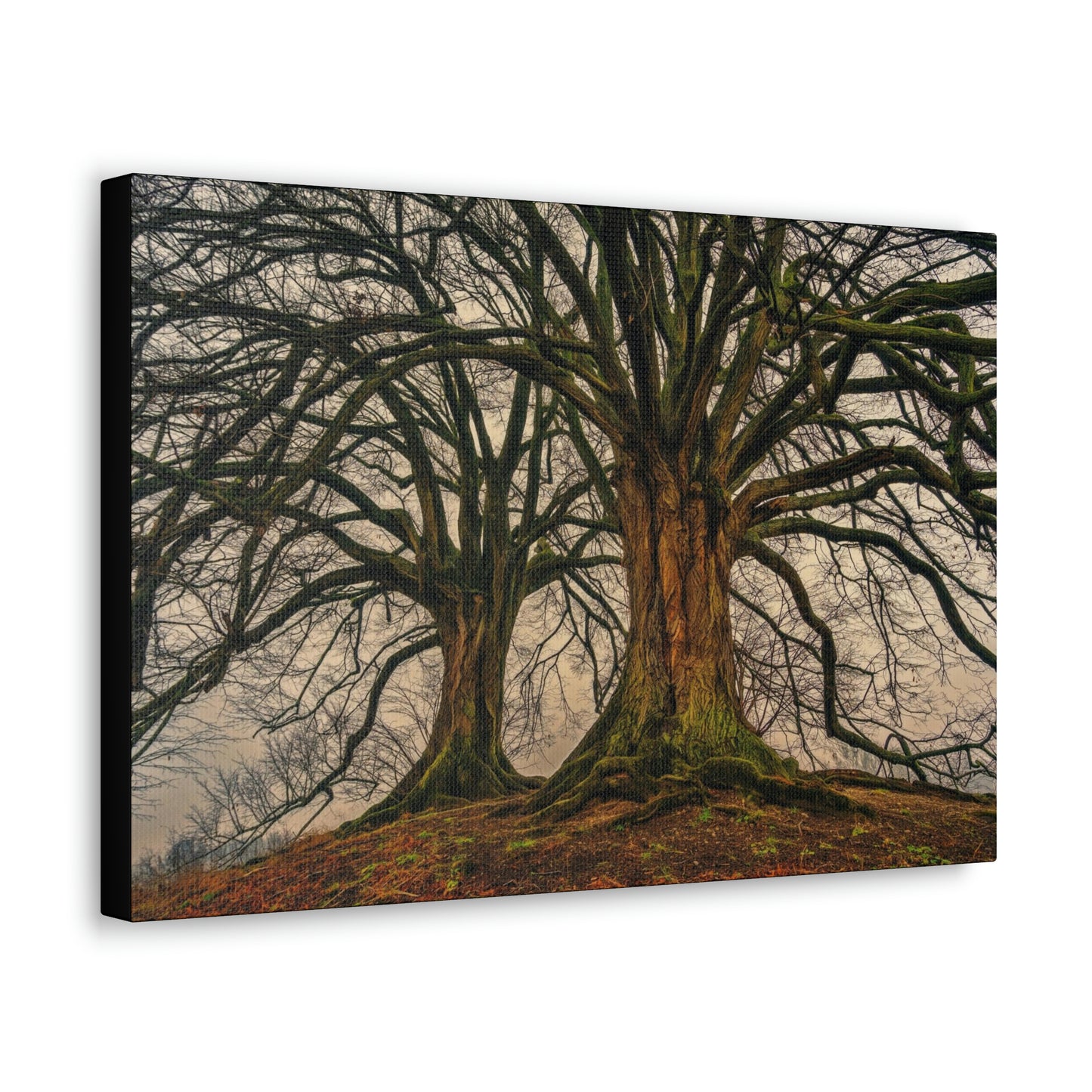Dark Trees - Nature, Trees, Dark Canvas Gallery Wraps