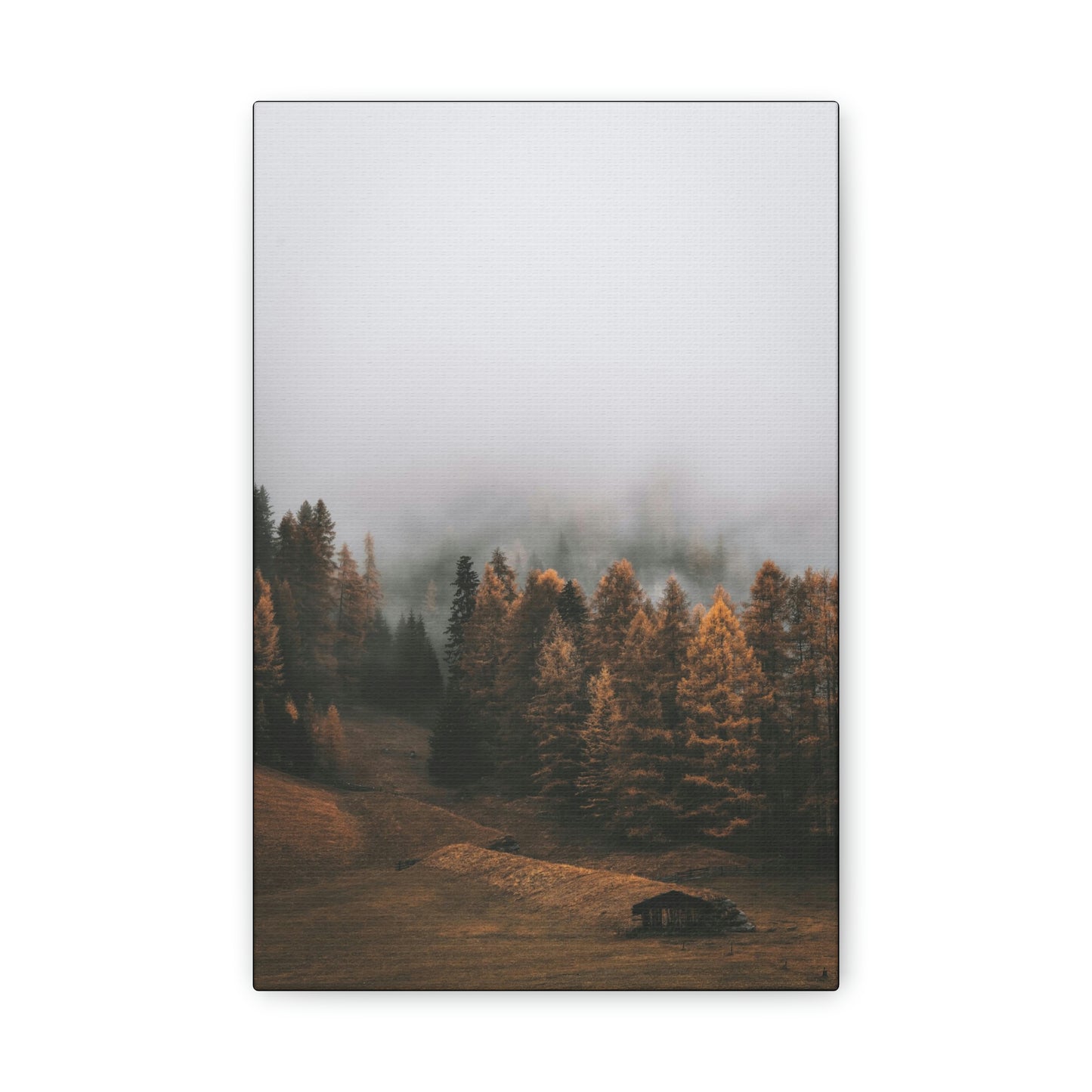 Smokey Mountains, Forest, Fog - Classic Canvas