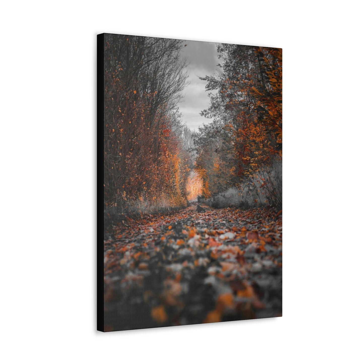 Fall road - Foliage, Nature, Forest, Leaves - Canvas Gallery Wraps