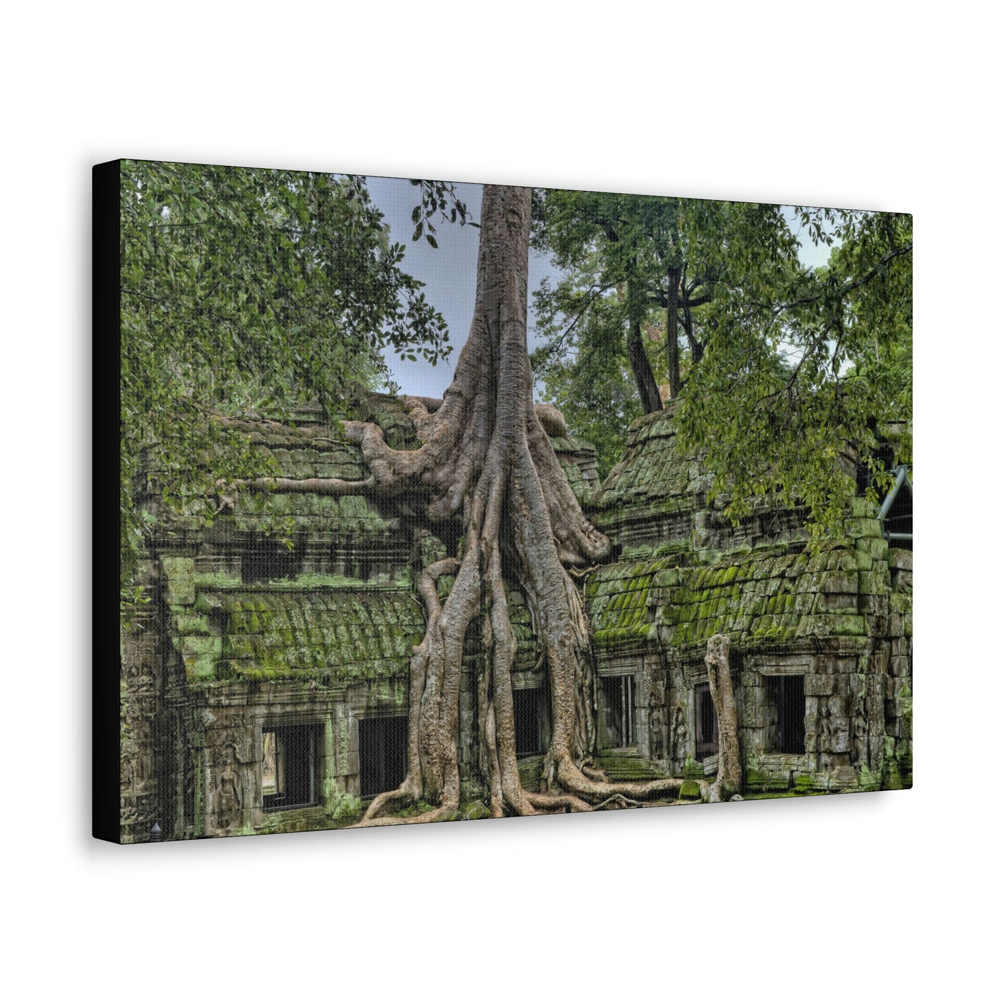 Jungle Temple - nature, trees Canvas Gallery Wraps