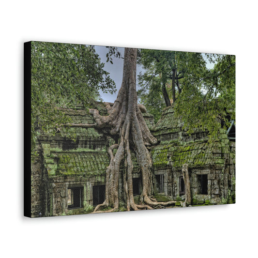 Jungle Temple - nature, trees Canvas Gallery Wraps