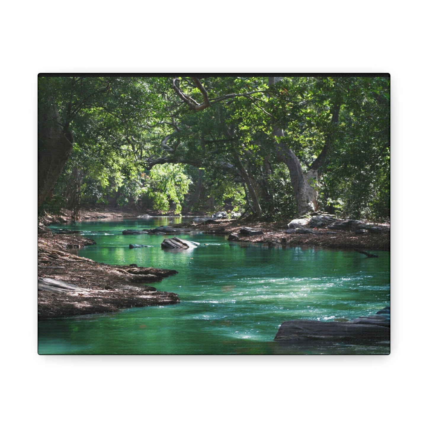 Scenic River - Forest - Canvas Gallery Wraps