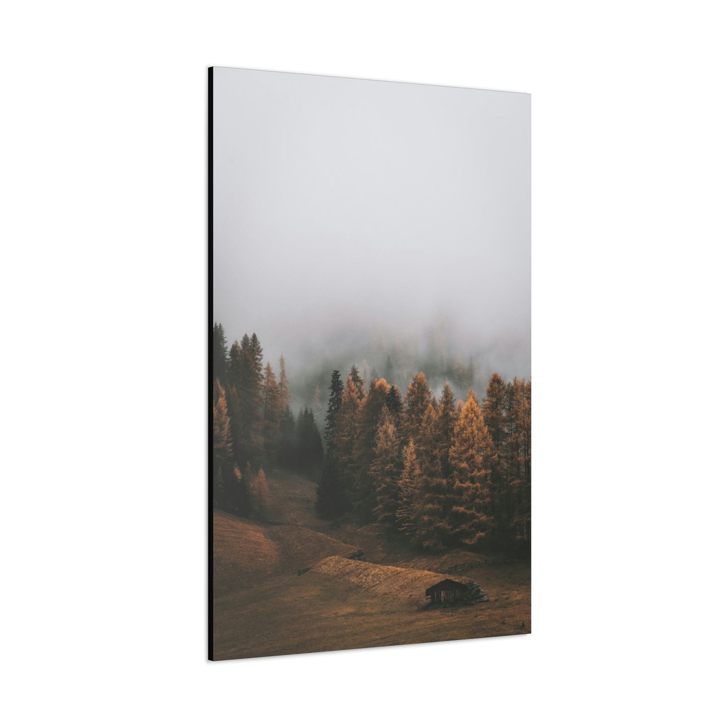 Smokey Mountains, Forest, Fog - Classic Canvas