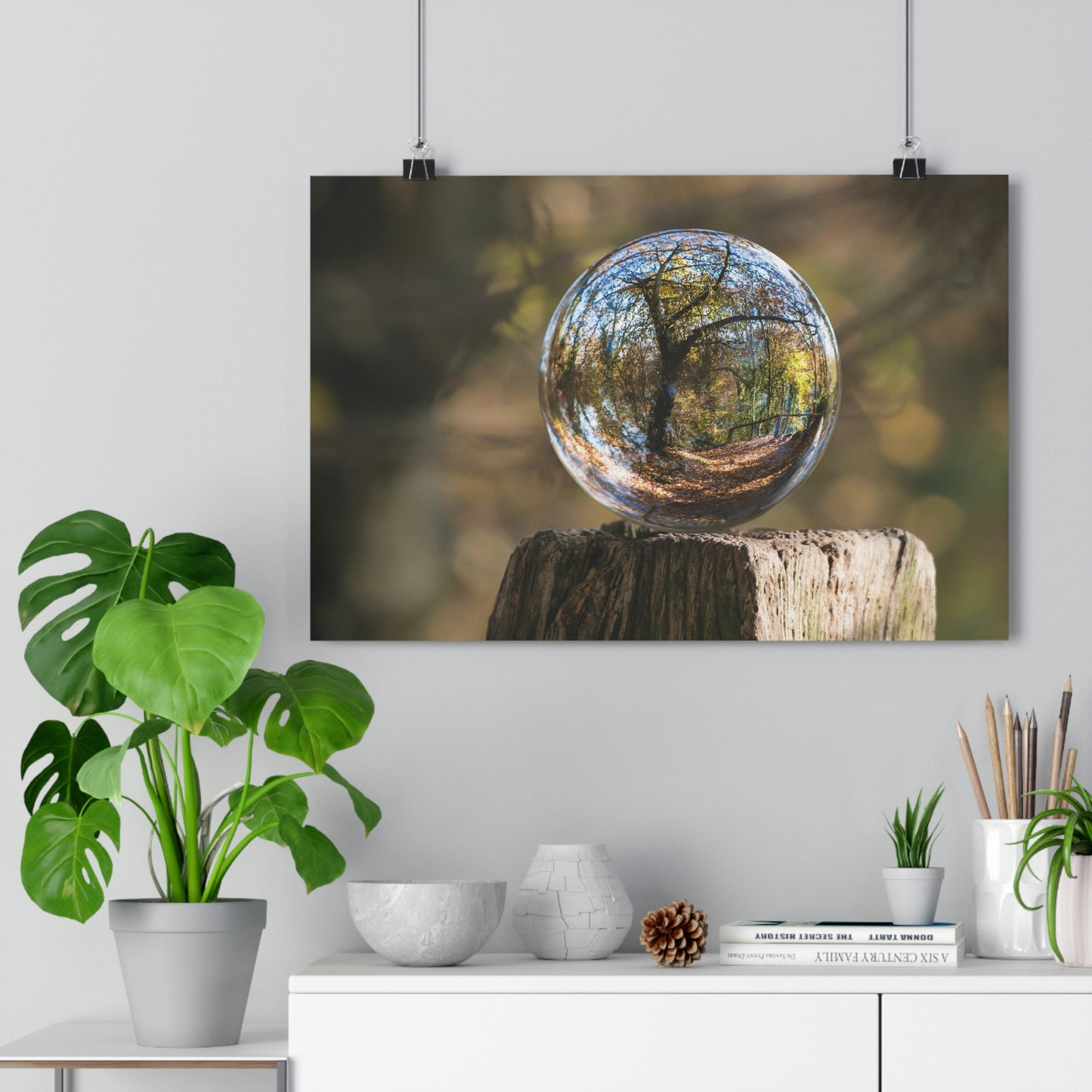 Forest, Globe, Nature, Forest Globe - Premium Poster