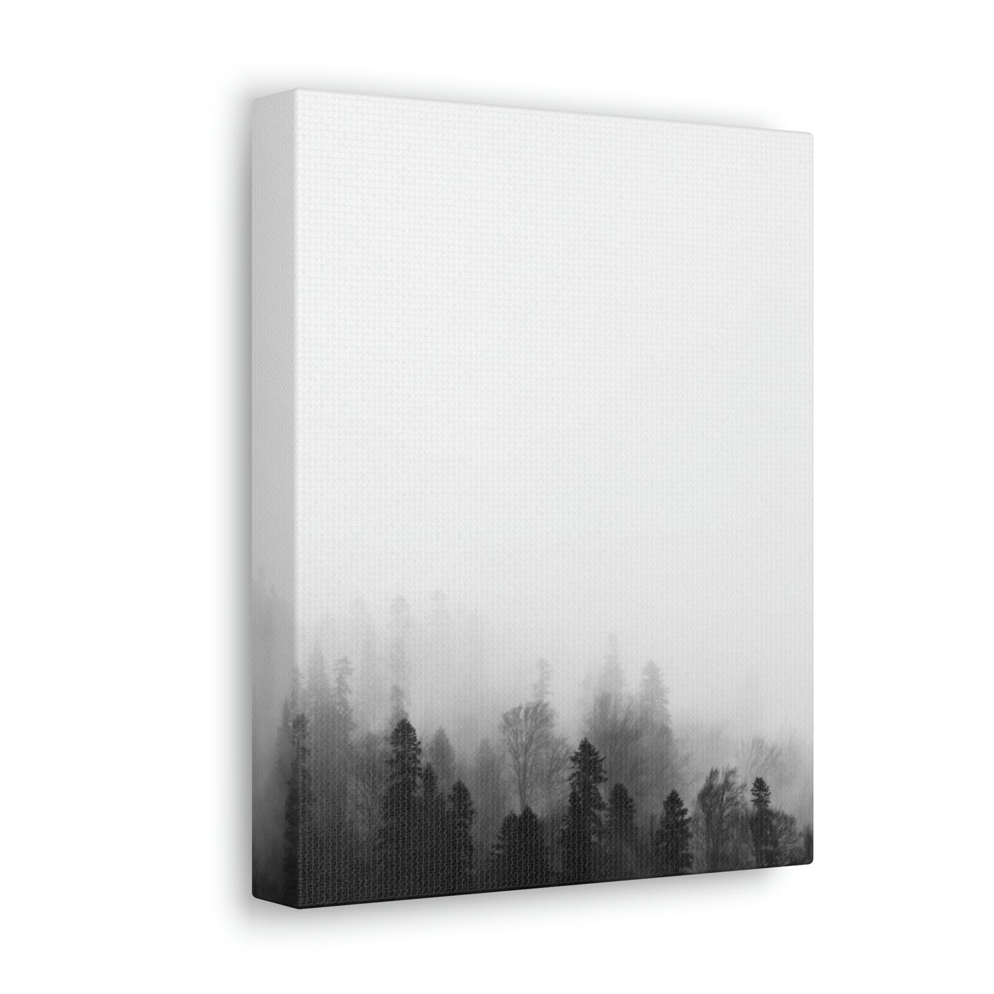 B&W Forest - Canvas Gallery Wraps