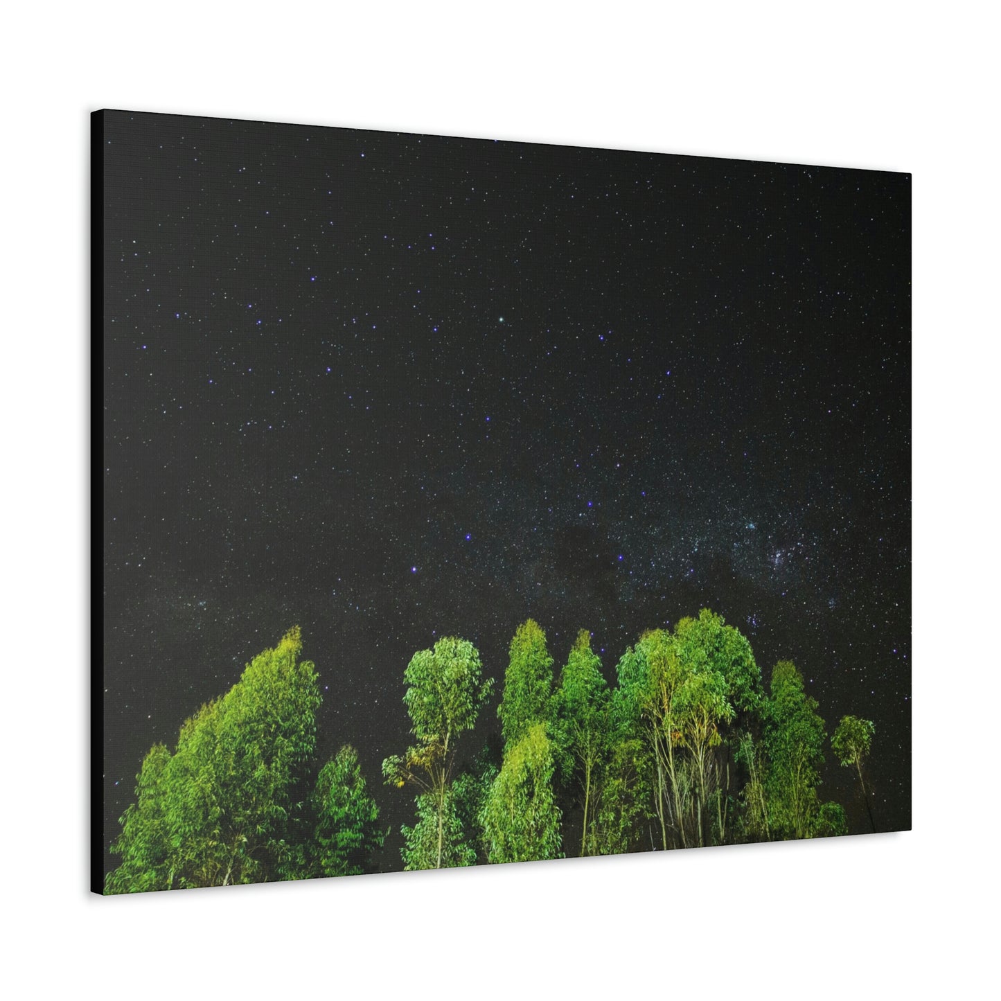 Starry Forest - Star, Forest, Nature - Canvas Gallery Wraps