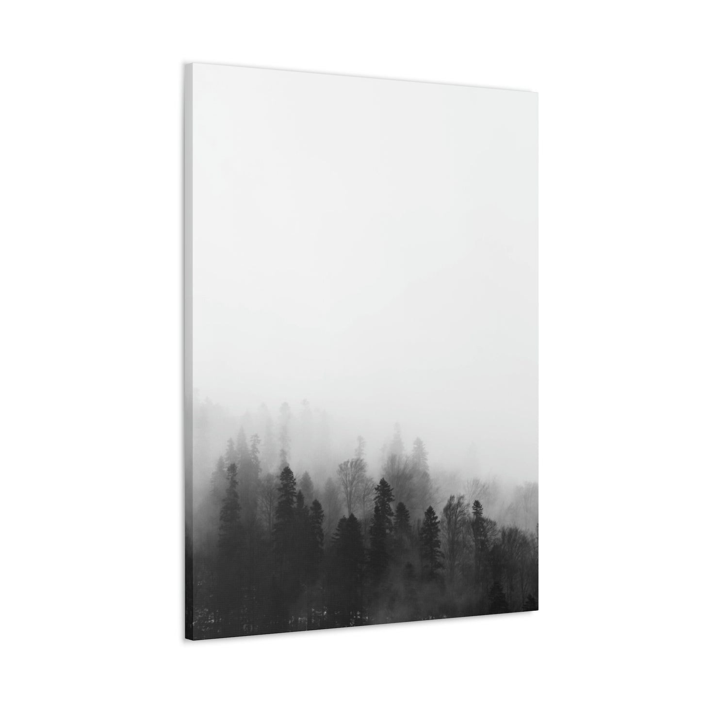 B&W Forest - Canvas Gallery Wraps