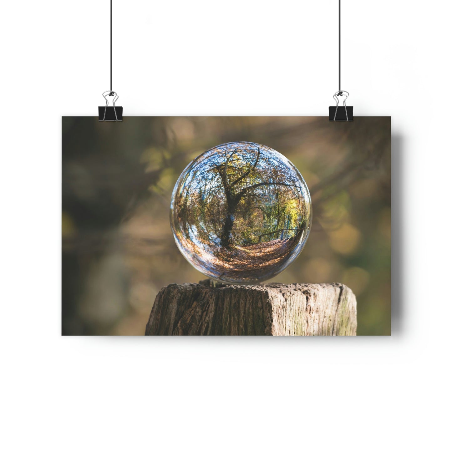 Forest, Globe, Nature, Forest Globe - Premium Poster