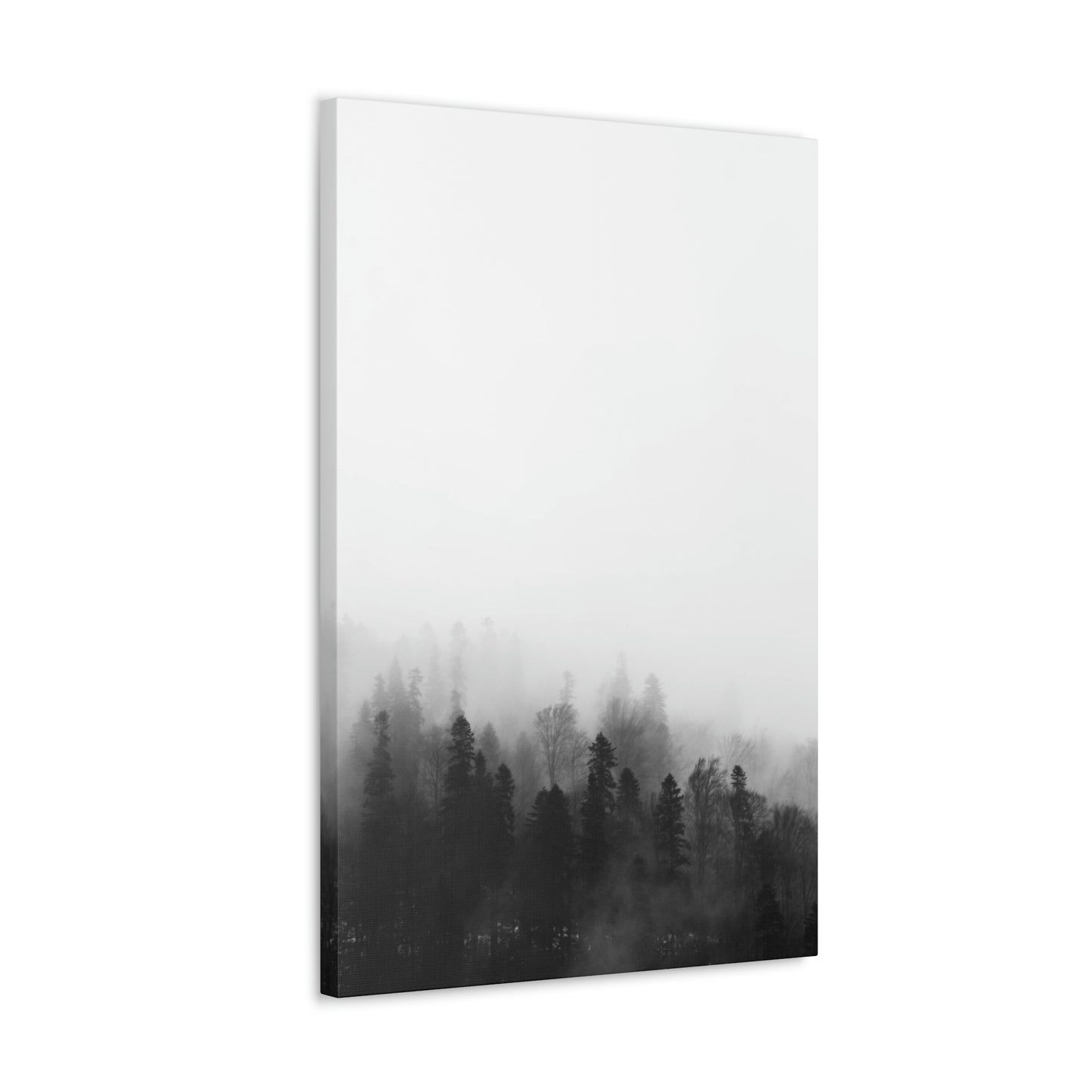 B&W Forest - Canvas Gallery Wraps