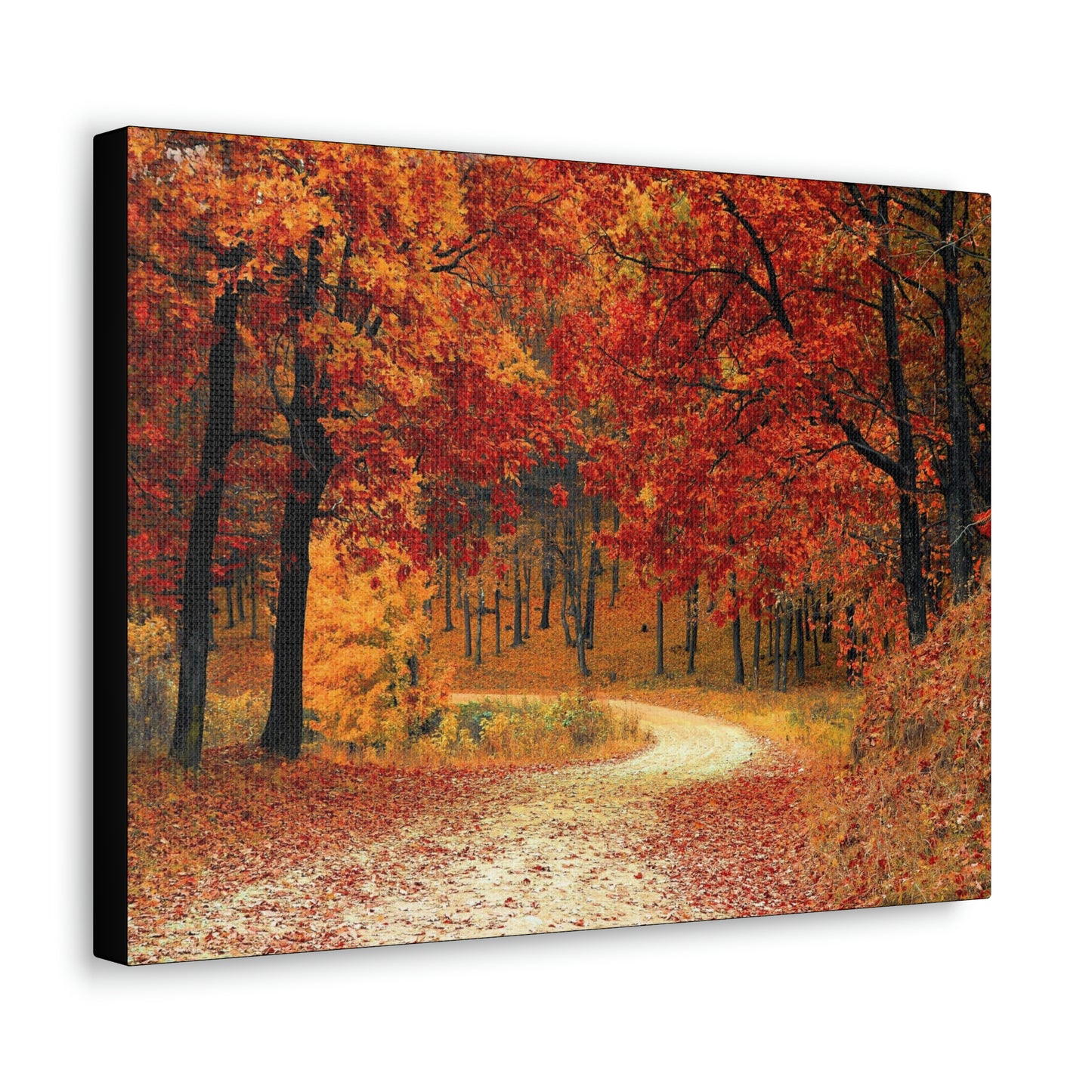 Fall Trail - Foliage forest - Canvas Gallery Wraps