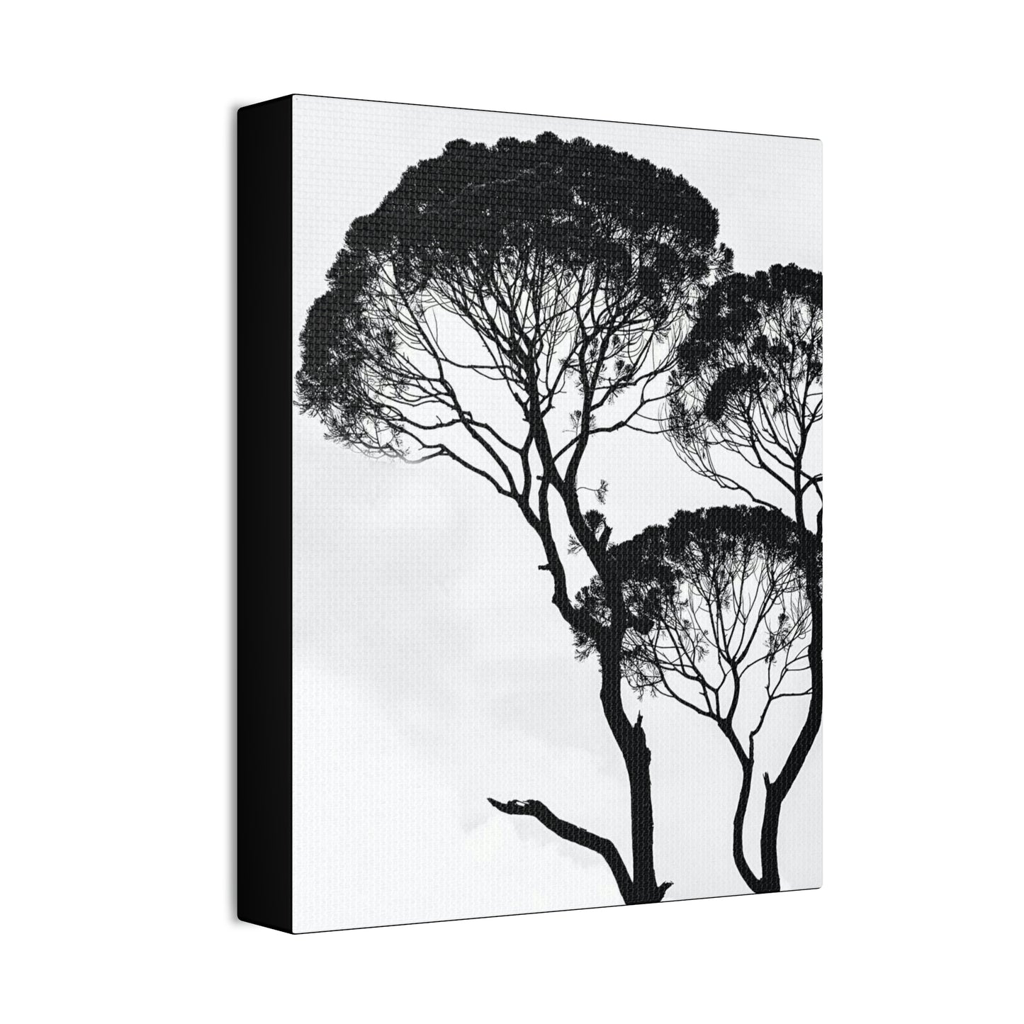 Black and White Trees, Trees, Savannah, Safari - Polyester Canvas