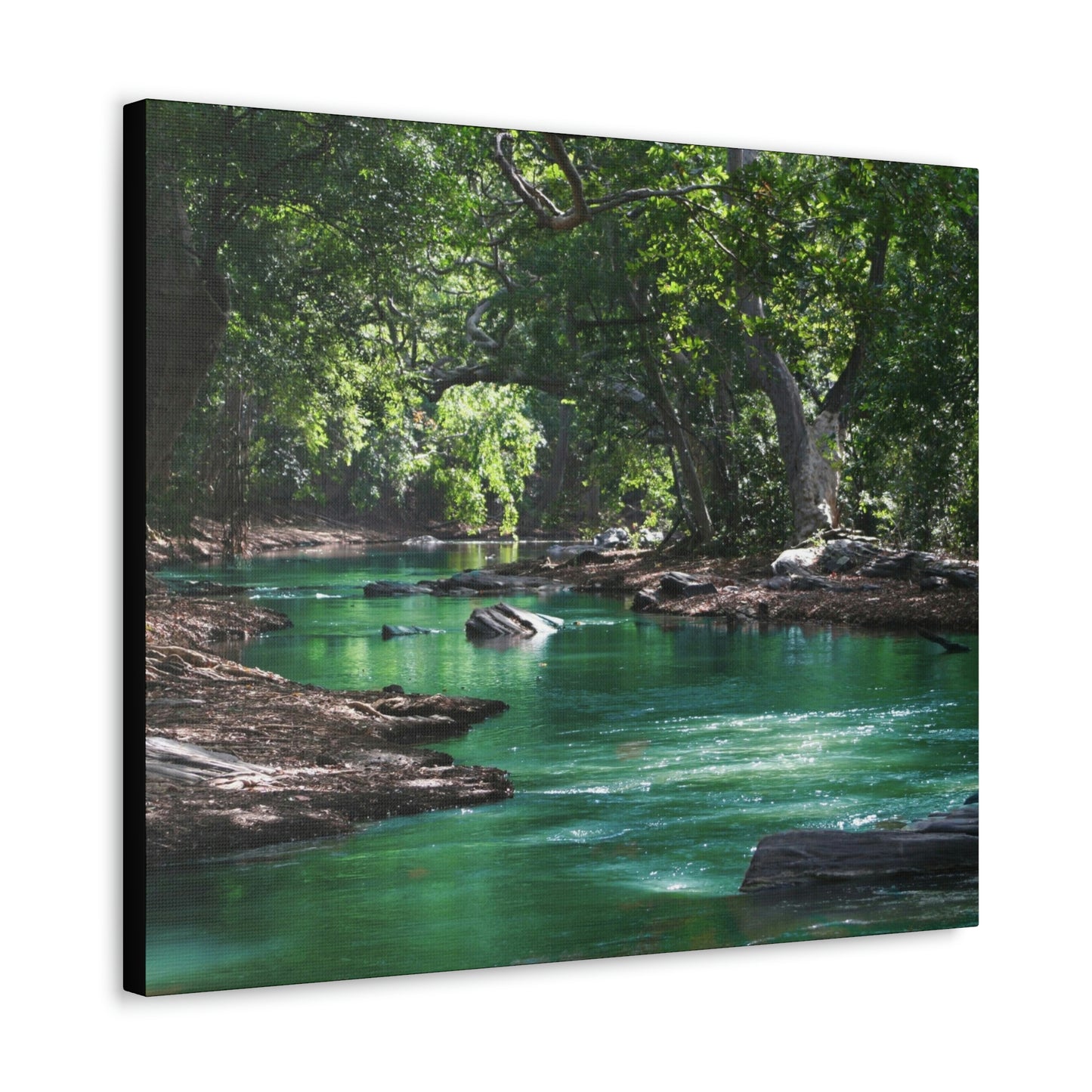 Scenic River - Forest - Canvas Gallery Wraps