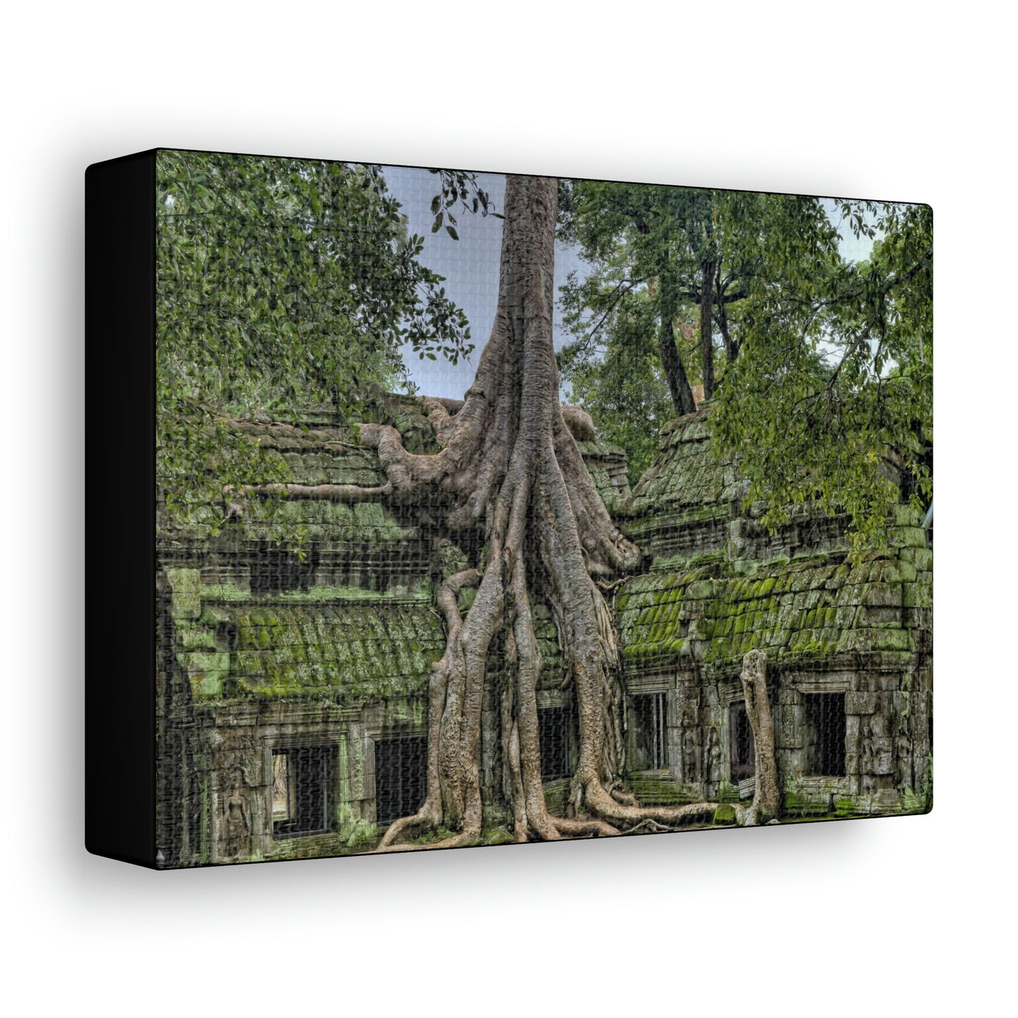 Jungle Temple - nature, trees Canvas Gallery Wraps
