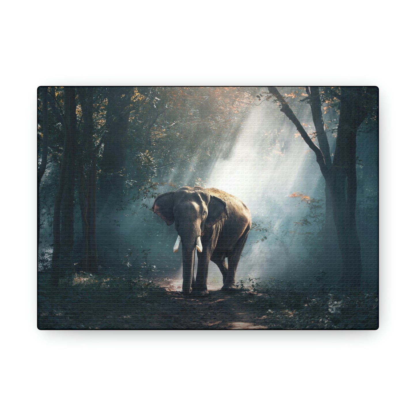 Elephant - Nature, Jungle Canvas Gallery Wraps