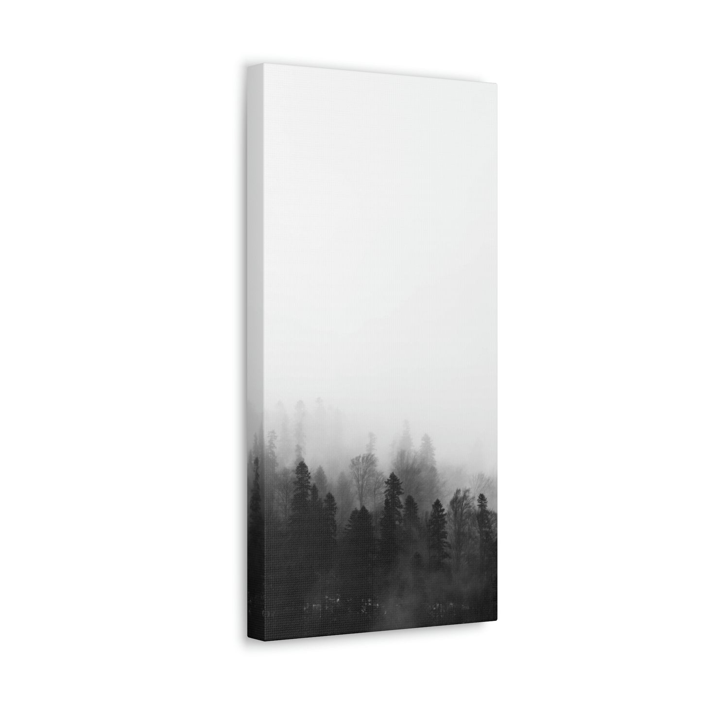 B&W Forest - Canvas Gallery Wraps