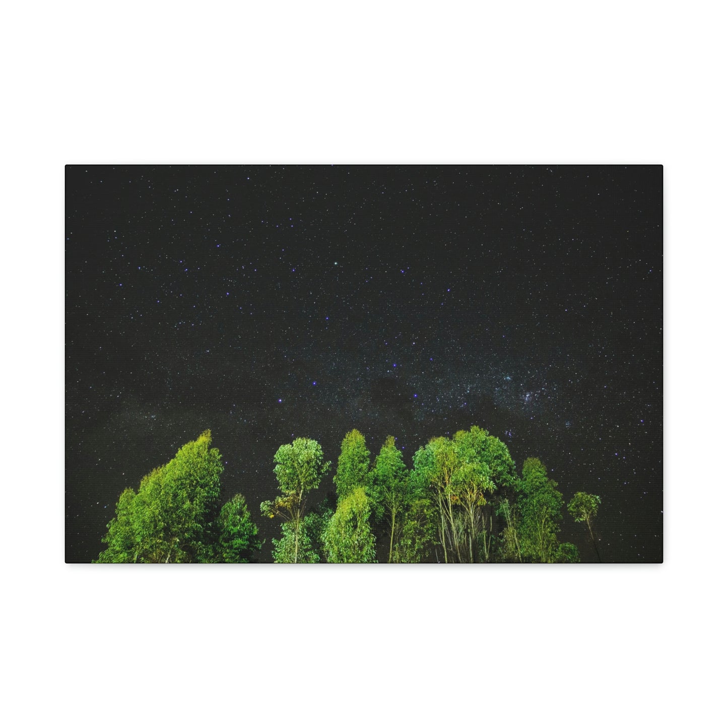 Starry Forest - Star, Forest, Nature - Canvas Gallery Wraps