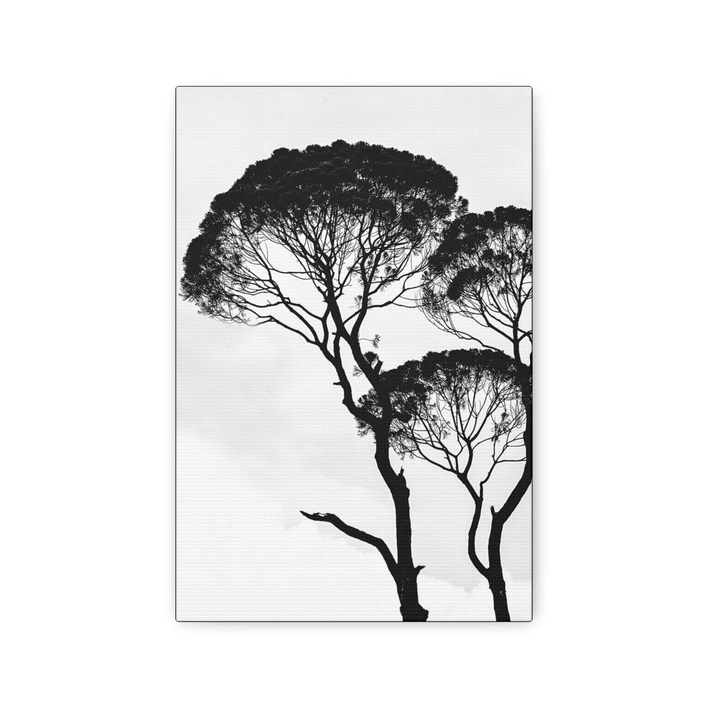 Black and White Trees, Trees, Savannah, Safari - Polyester Canvas