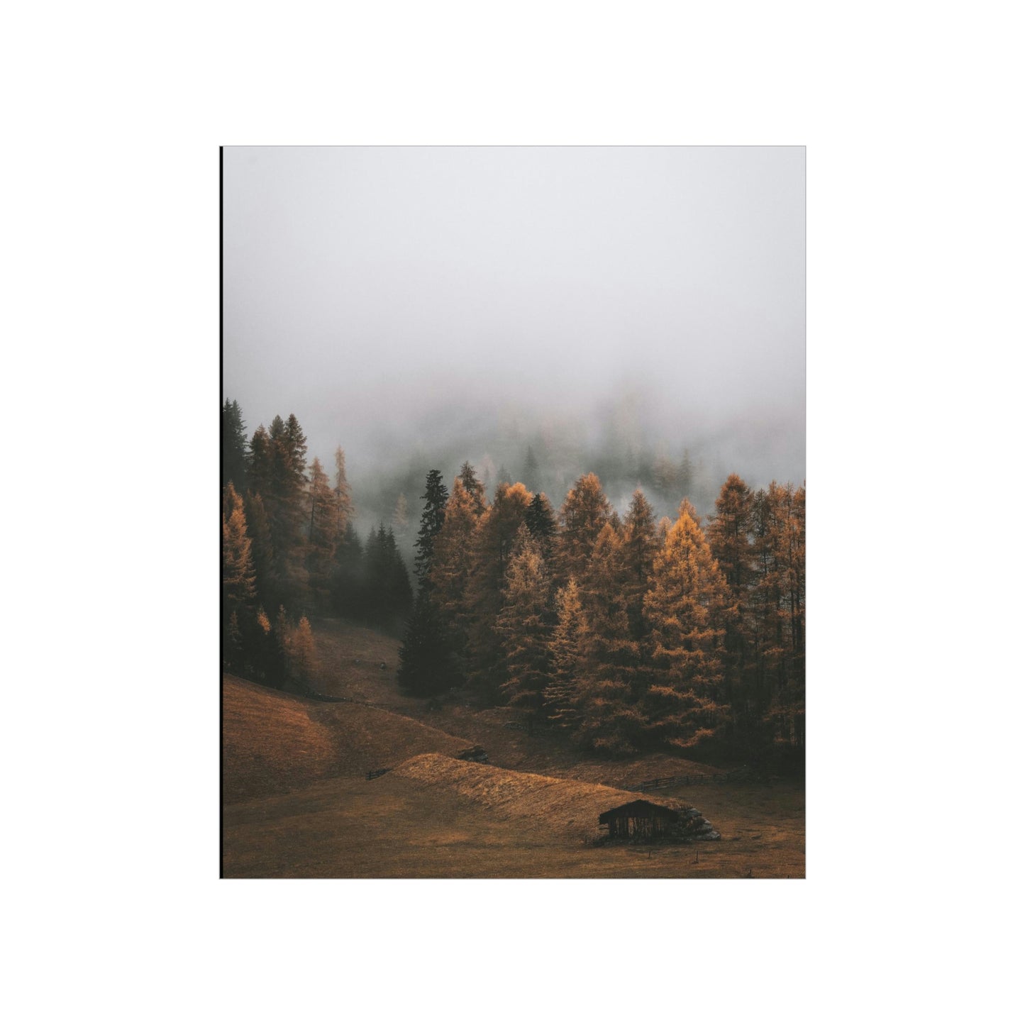 Smokey Mountains, Forest, Fog - Premium Matte Vertical Posters