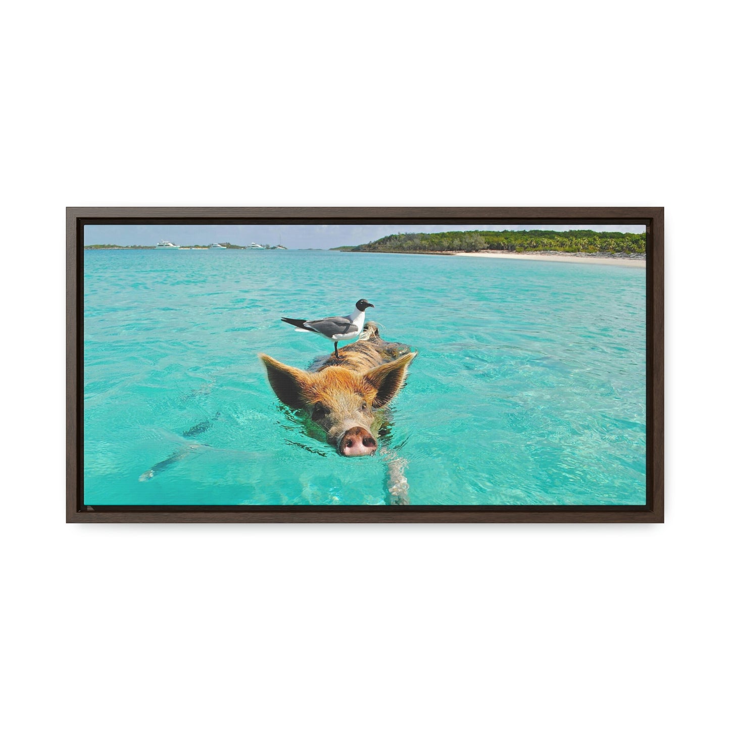 Ocean hog - Gallery Canvas Wraps, Horizontal Frame