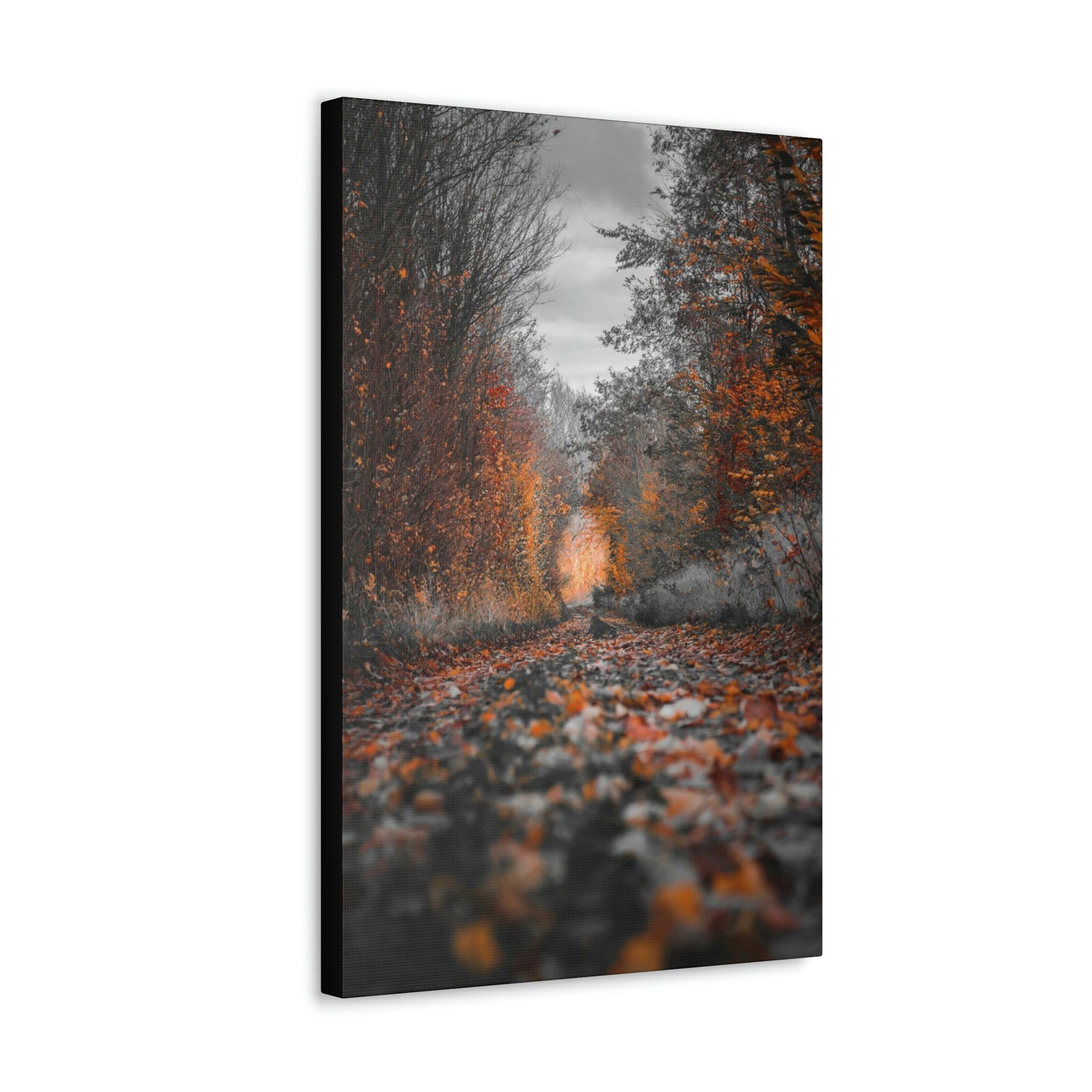 Fall road - Foliage, Nature, Forest, Leaves - Canvas Gallery Wraps