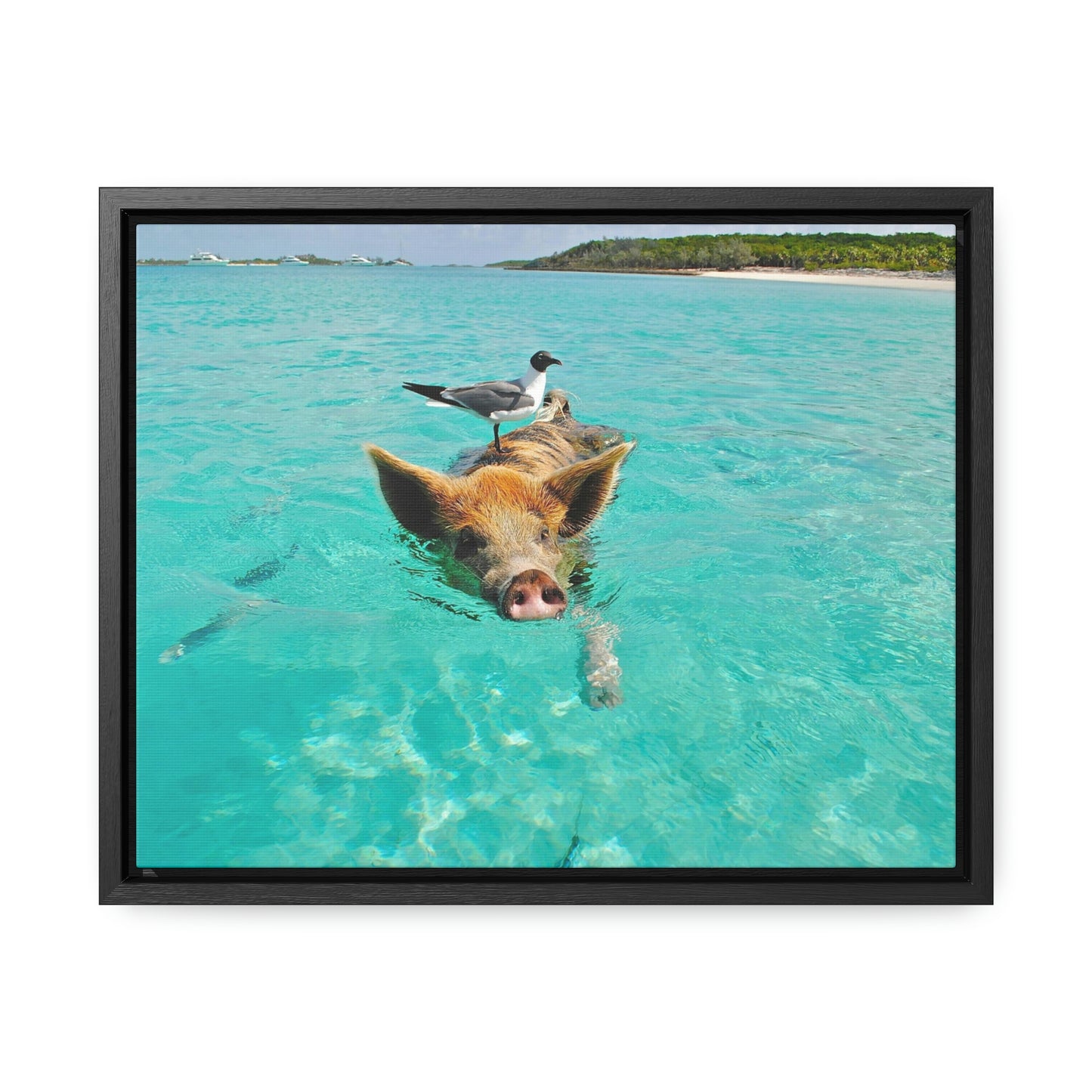 Ocean hog - Gallery Canvas Wraps, Horizontal Frame