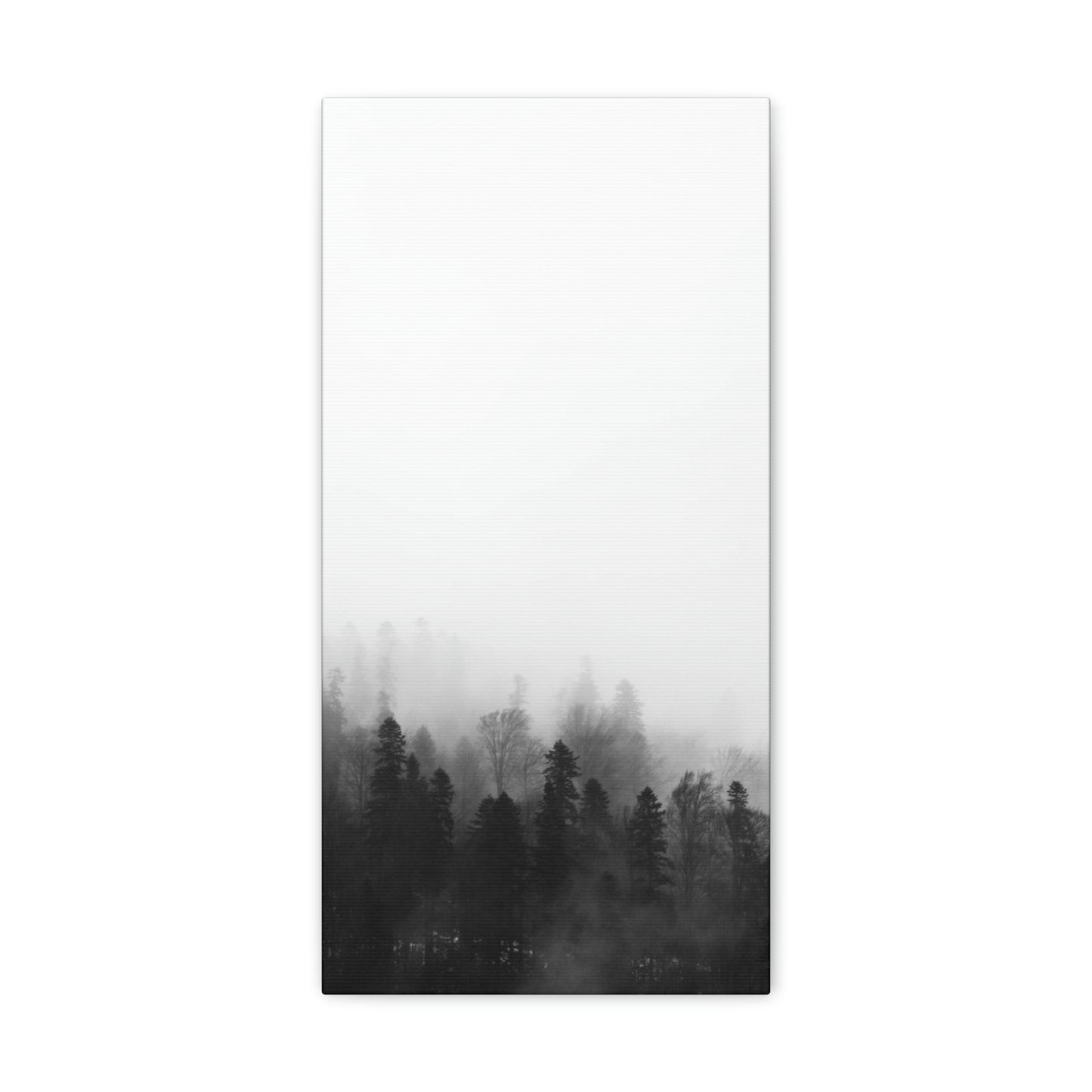 B&W Forest - Canvas Gallery Wraps