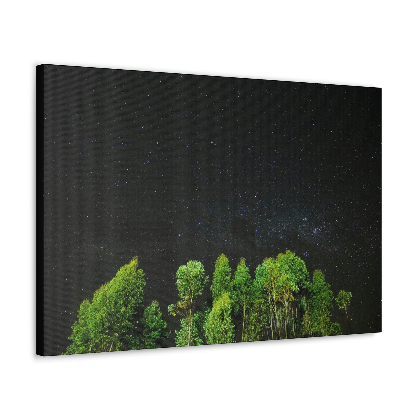 Starry Forest - Star, Forest, Nature - Canvas Gallery Wraps