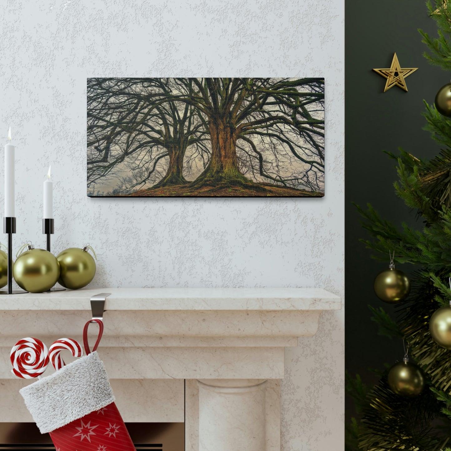 Dark Trees - Nature, Trees, Dark Canvas Gallery Wraps