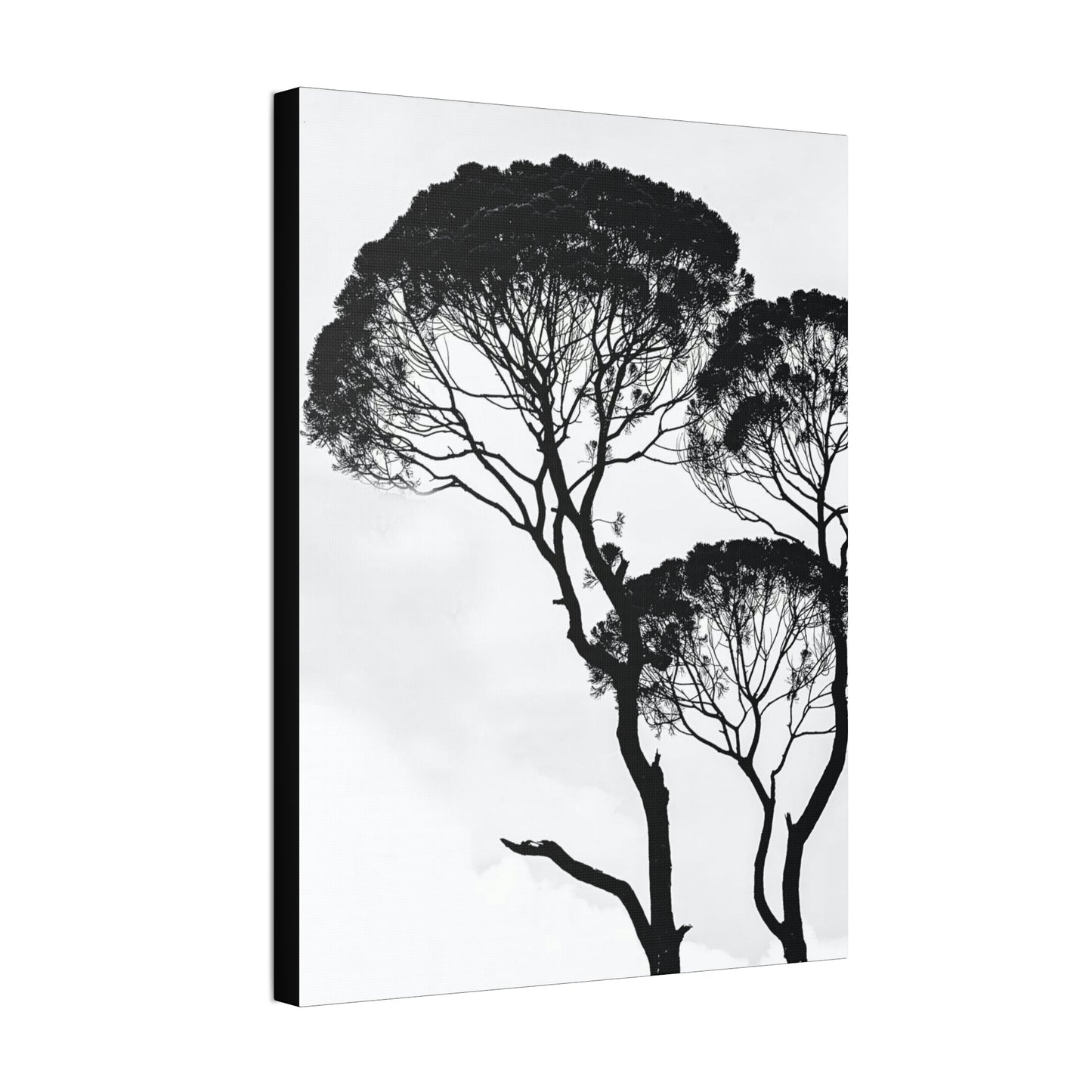 Black and White Trees, Trees, Savannah, Safari - Polyester Canvas
