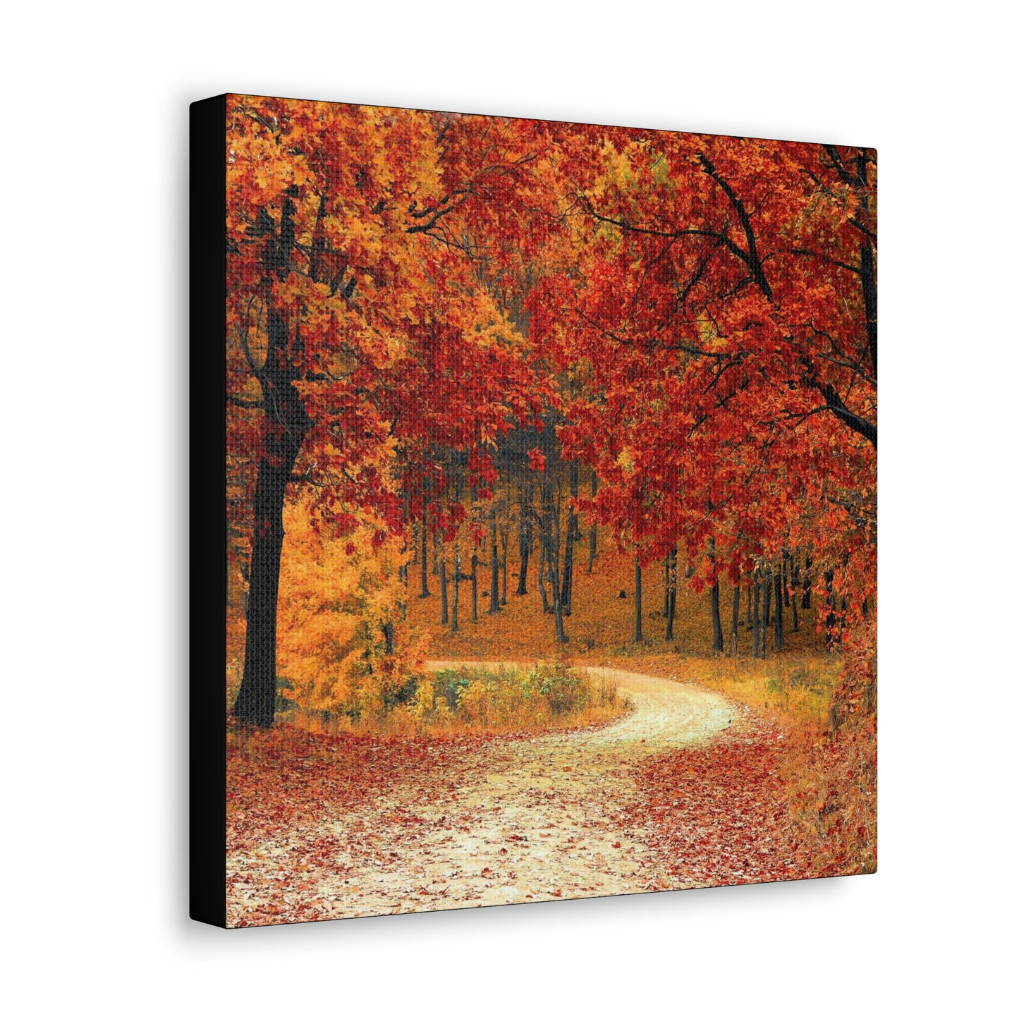 Fall Trail - Foliage forest - Canvas Gallery Wraps