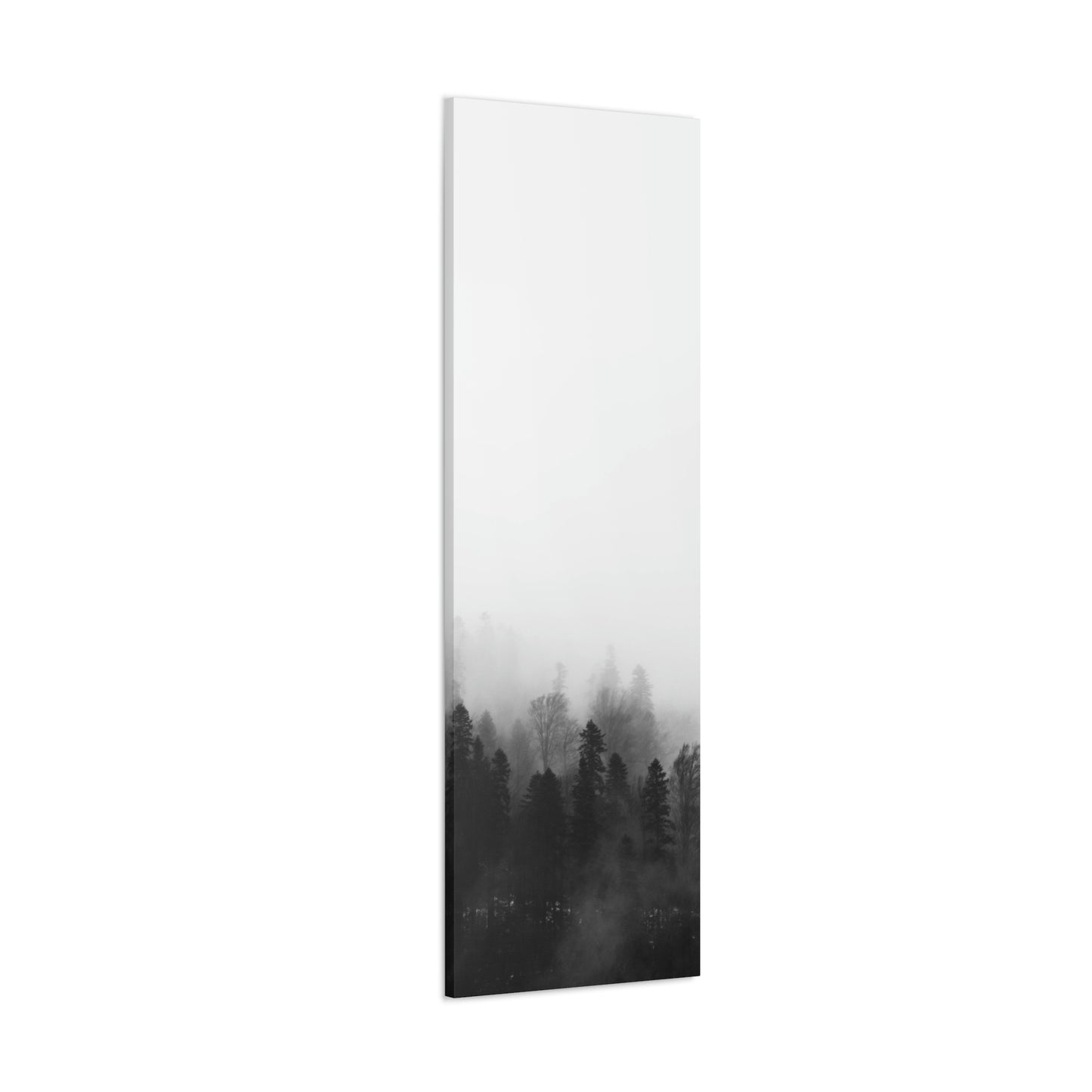 B&W Forest - Canvas Gallery Wraps