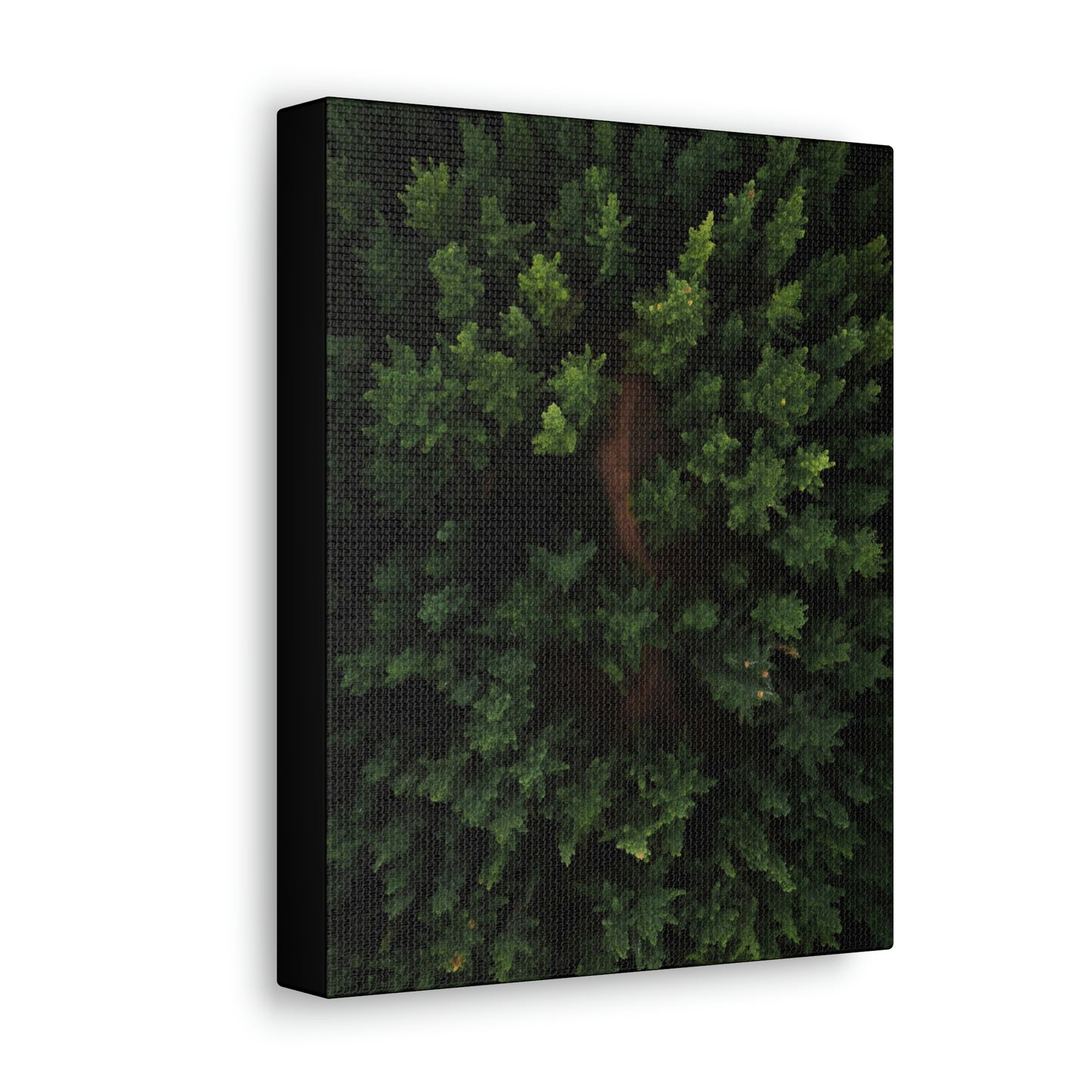 Forest eagle-view - Canvas Gallery Wraps