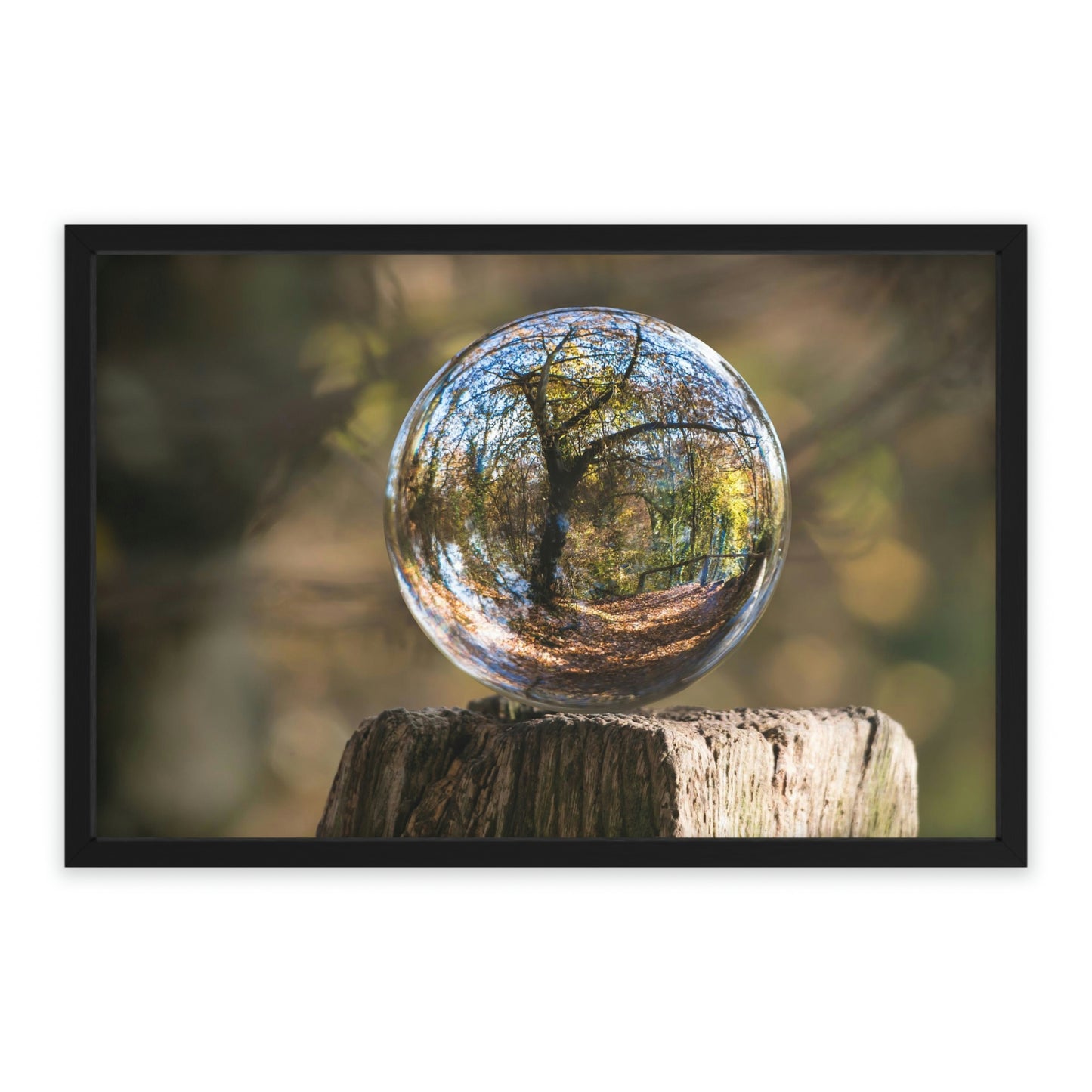 Forest Globe - Framed Poster, Horizontal