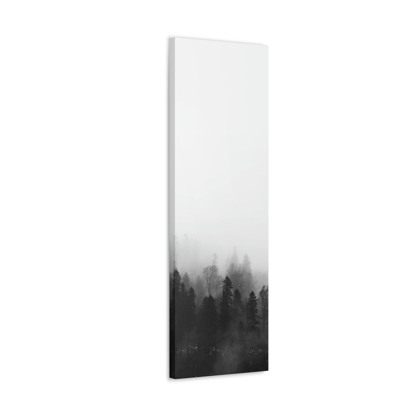 B&W Forest - Canvas Gallery Wraps
