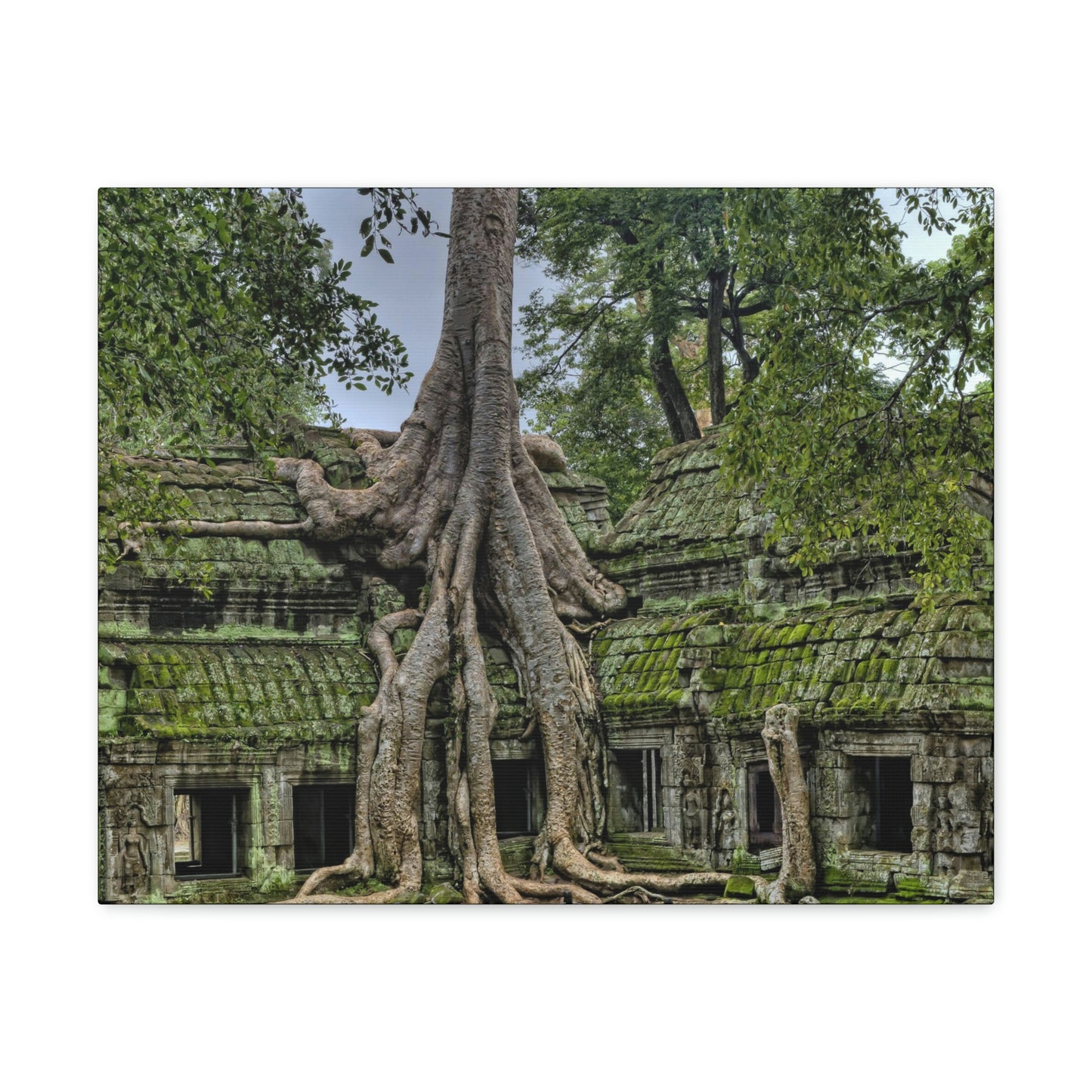 Jungle Temple - nature, trees Canvas Gallery Wraps